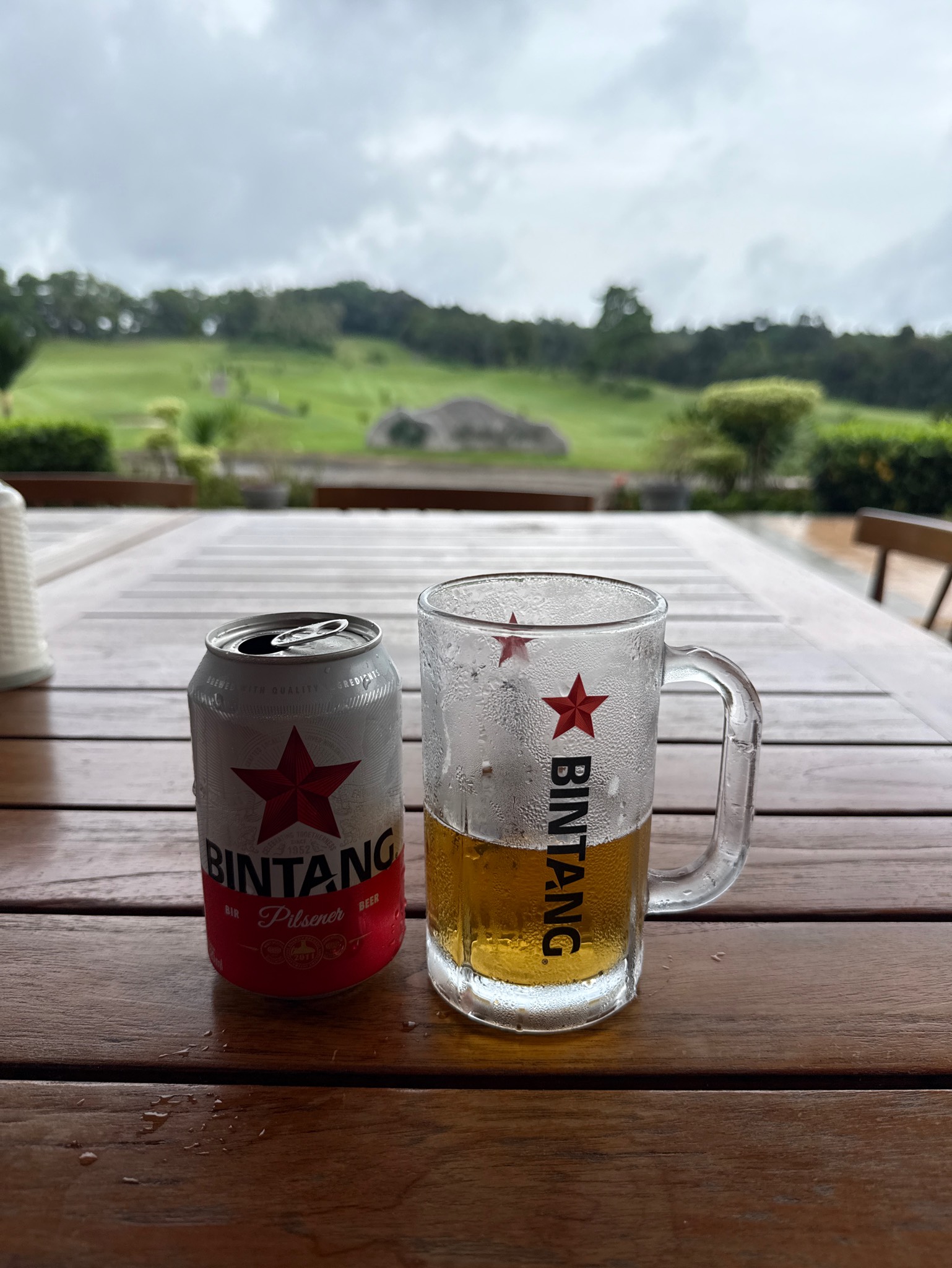 Bintang Pilsener, PT Multi Bintang Indonesia (Heineken)