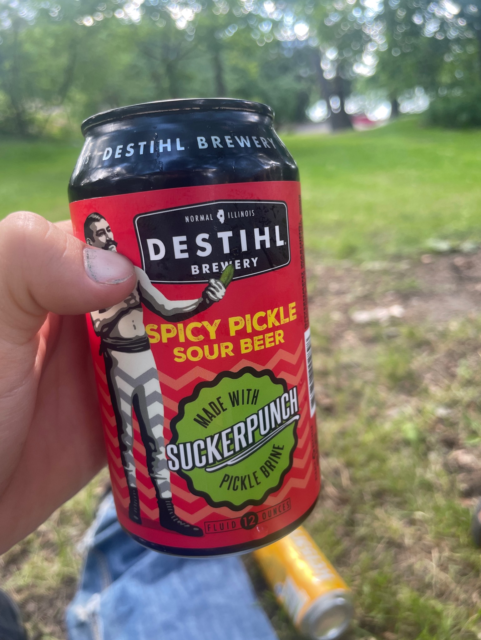 spicy pickle sour beer, United States