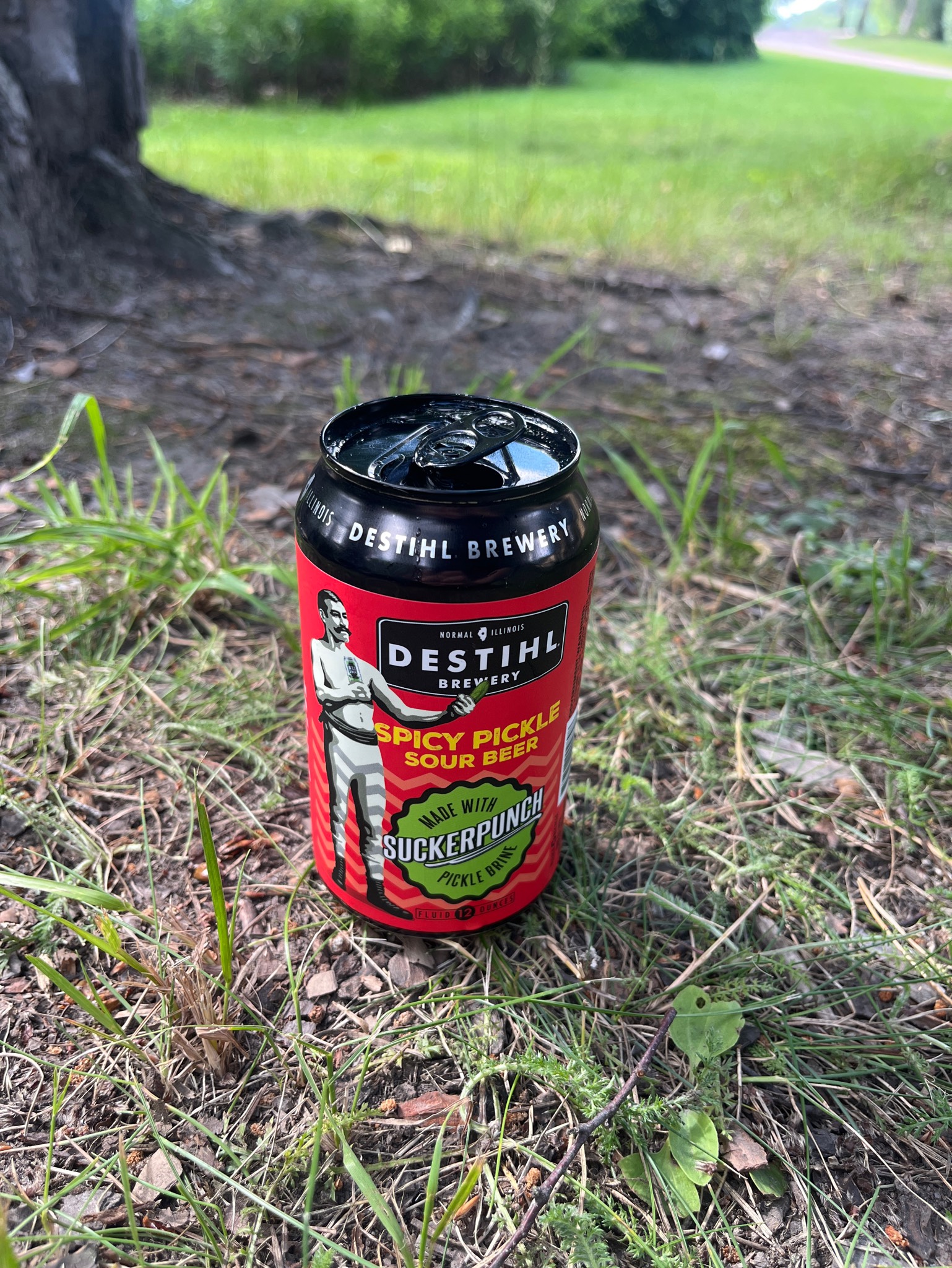 spicy pickle sour beer, United States