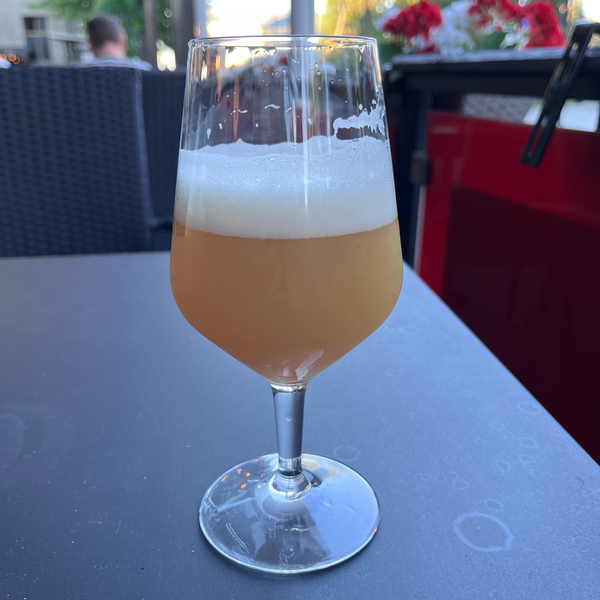 Quest (2026), Fine Balance Brewing Company