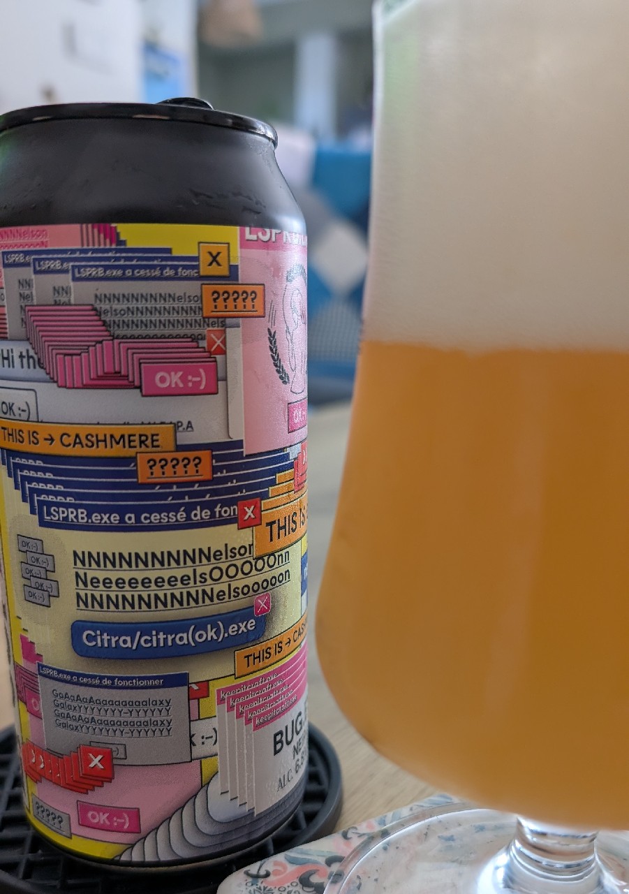 Bug.exe, France