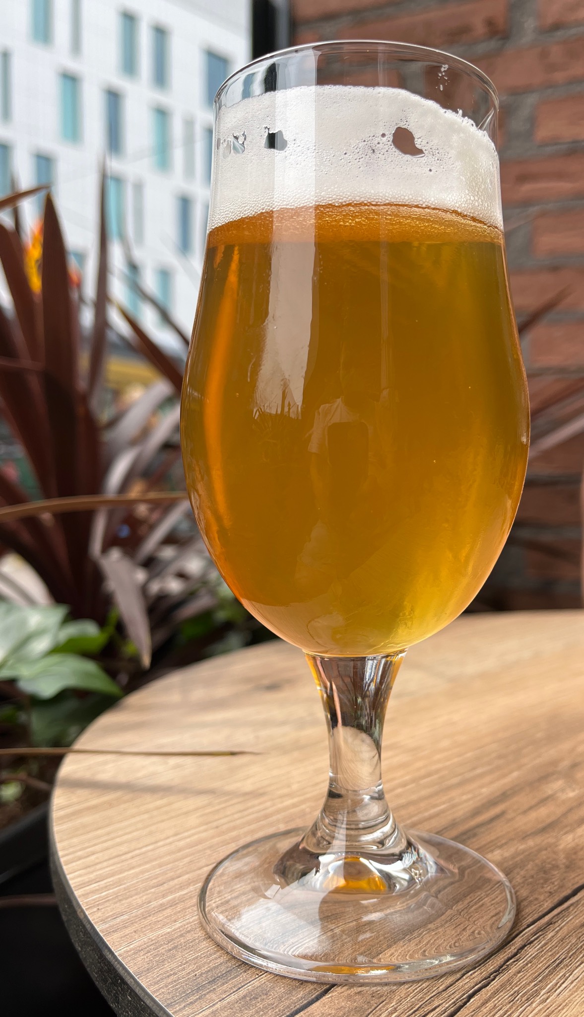 Bruuveri IPA, Finland
