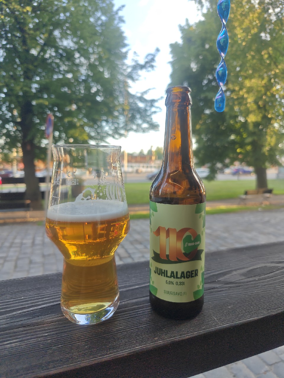 Suur-Savo 110 Juhlalager, Finland