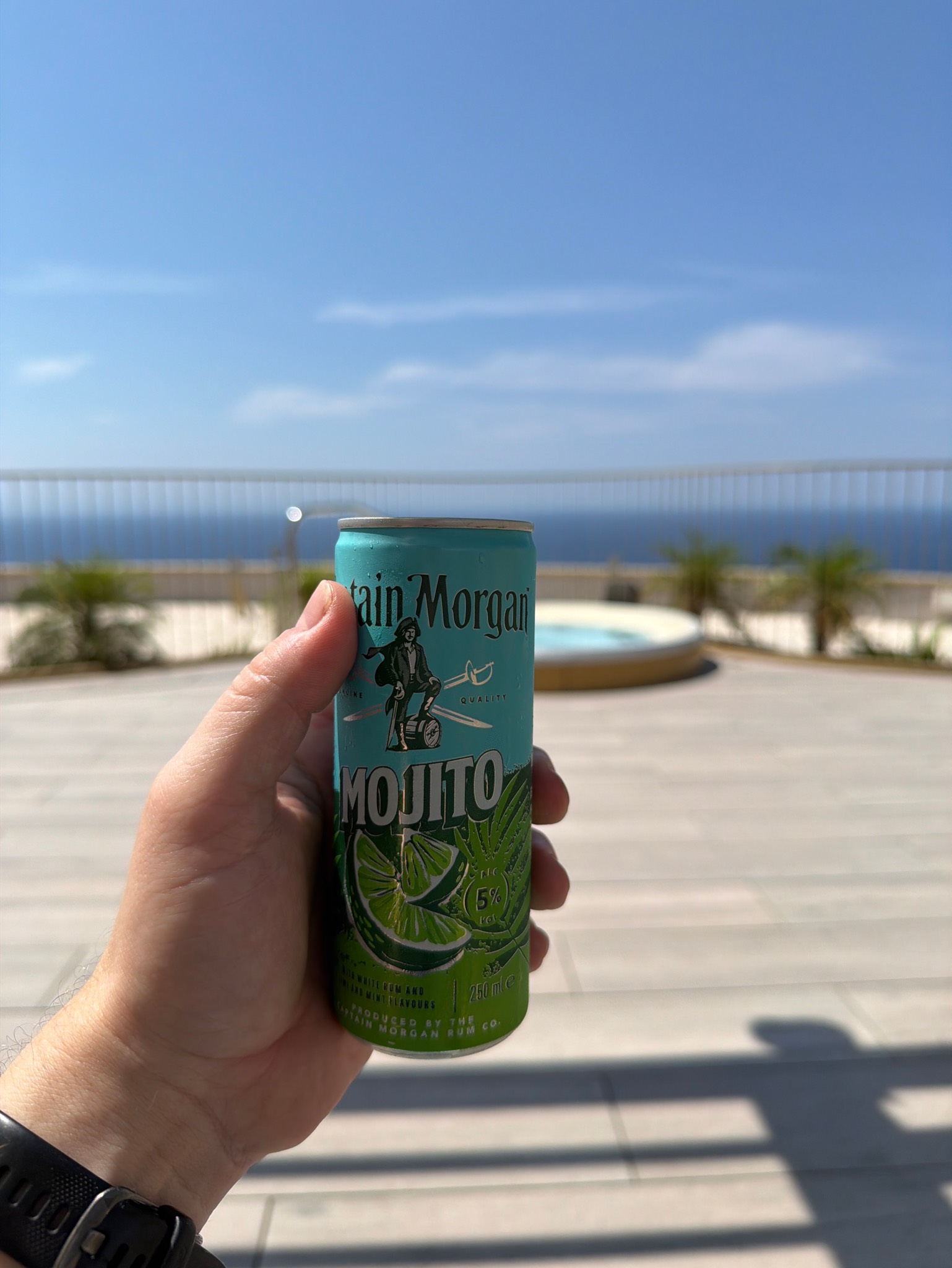 Captain Morgan White Rum Mojito, Capt Morgan Rum Co