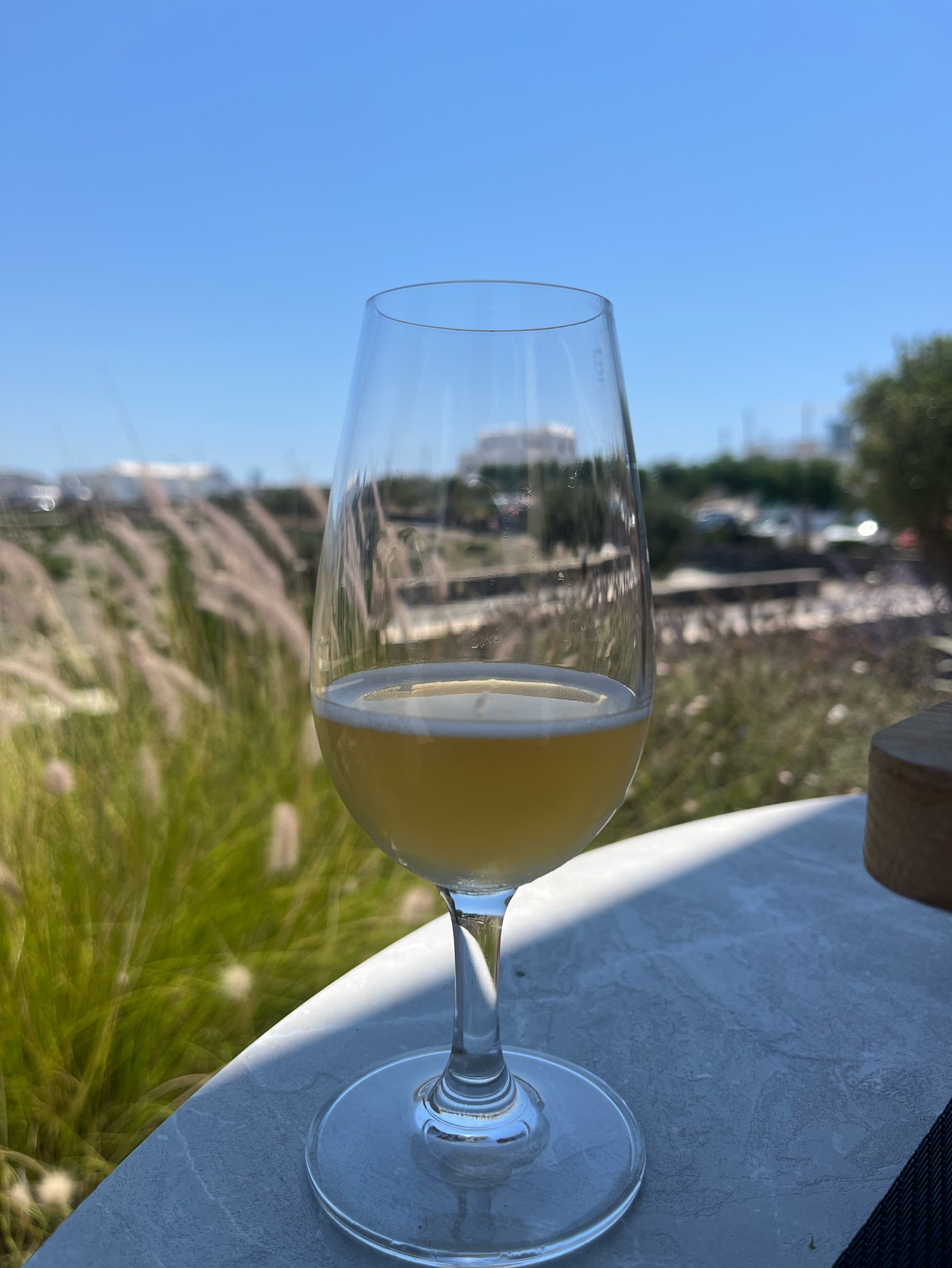 Blue Monkey Pale ale, Ftelos Brewery