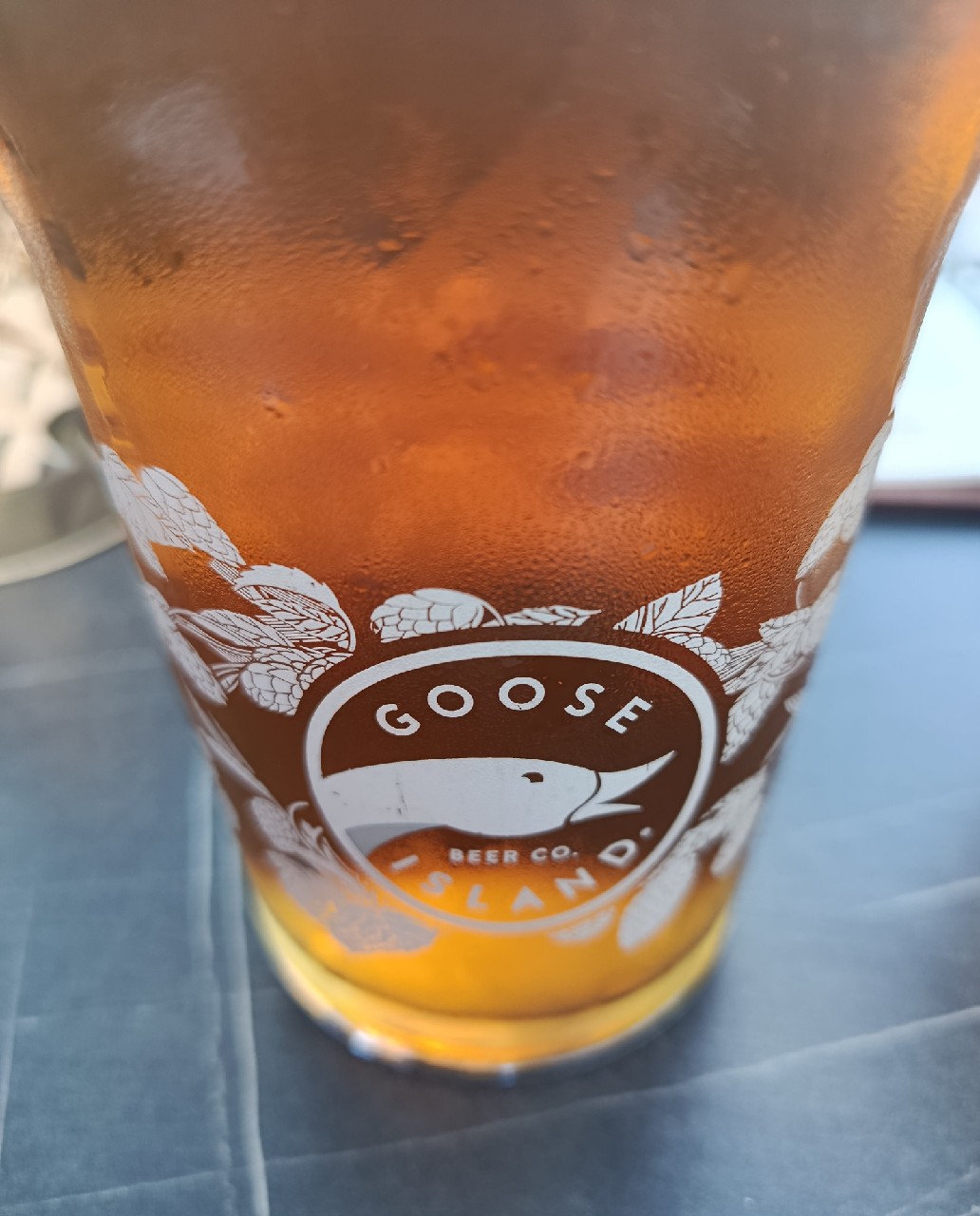 Goose Island IPA, United States