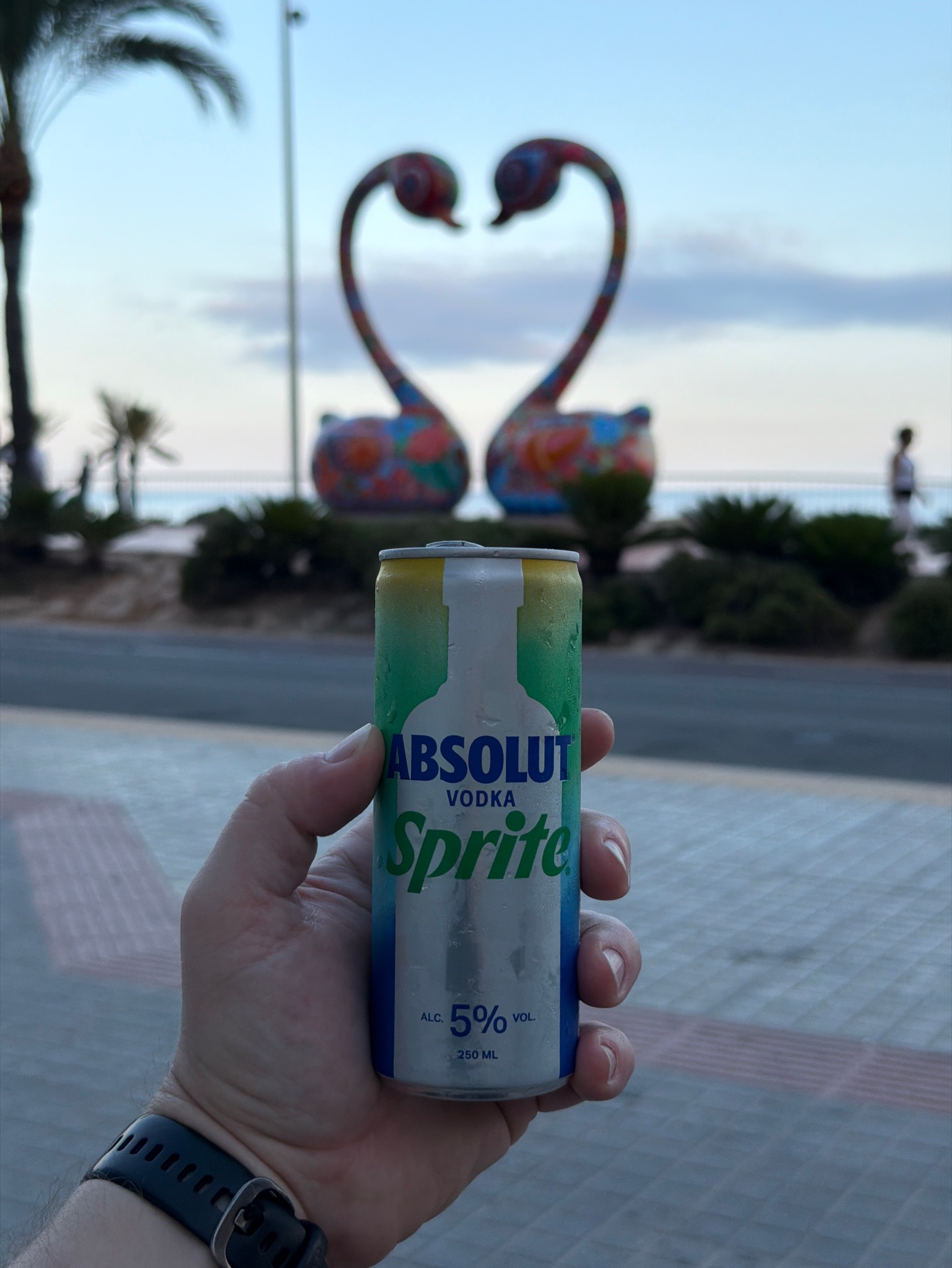 Absolut Vodka Sprite, Topo Chico Hard Seltzer (Coca-Cola)