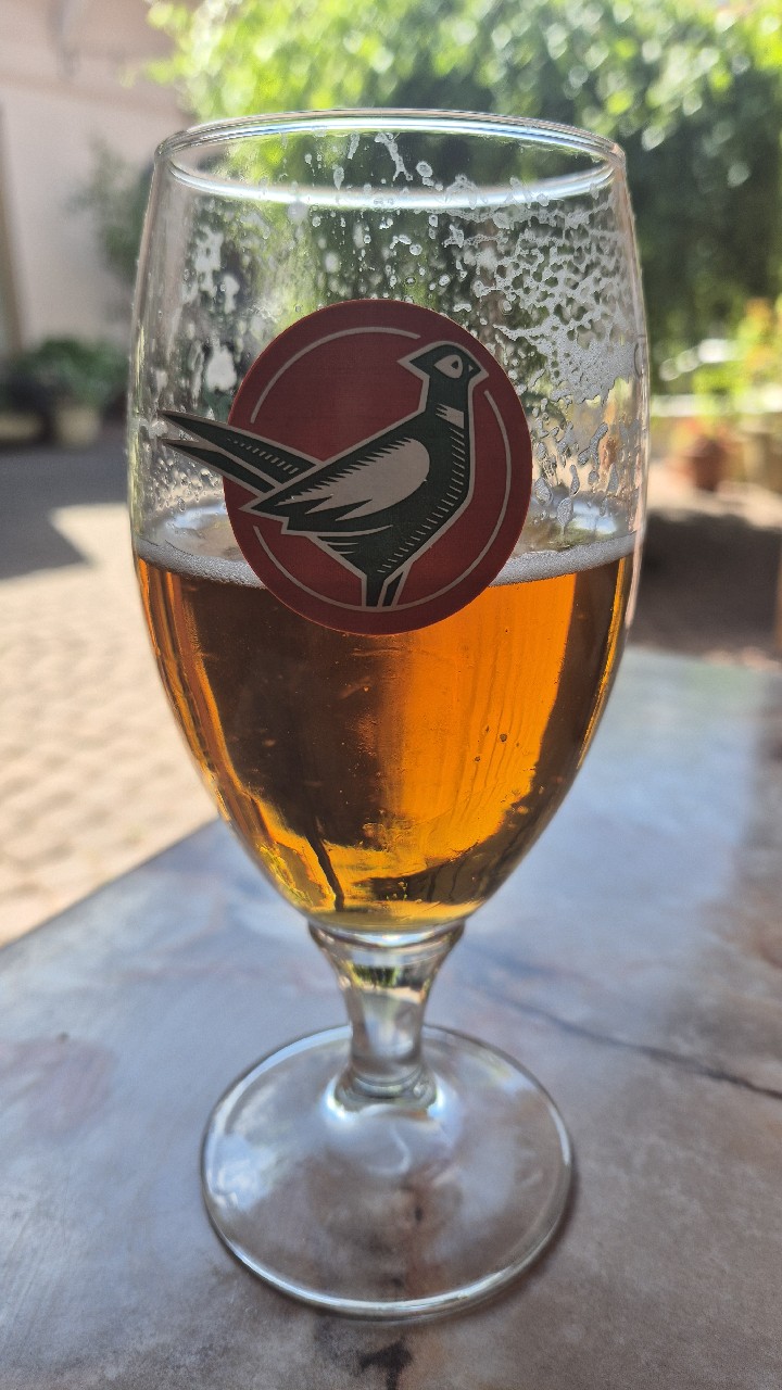 Zlatý Bažant Špeciál Hurbanovská IPA, Slovakia
