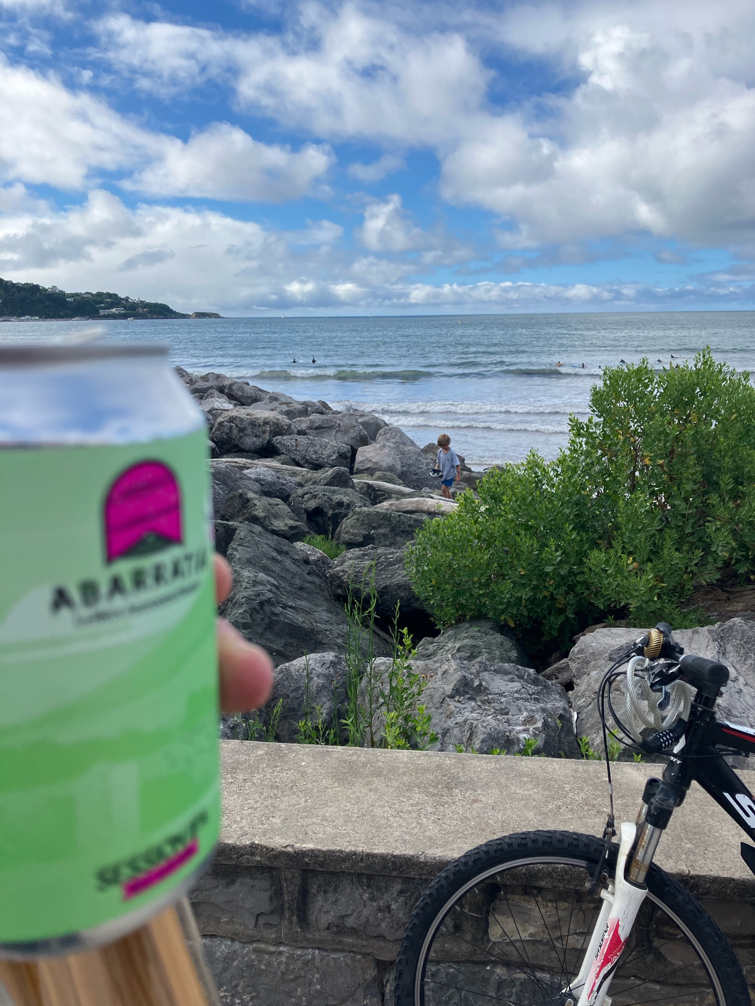 Abarratia Session IPA, Abarratia
