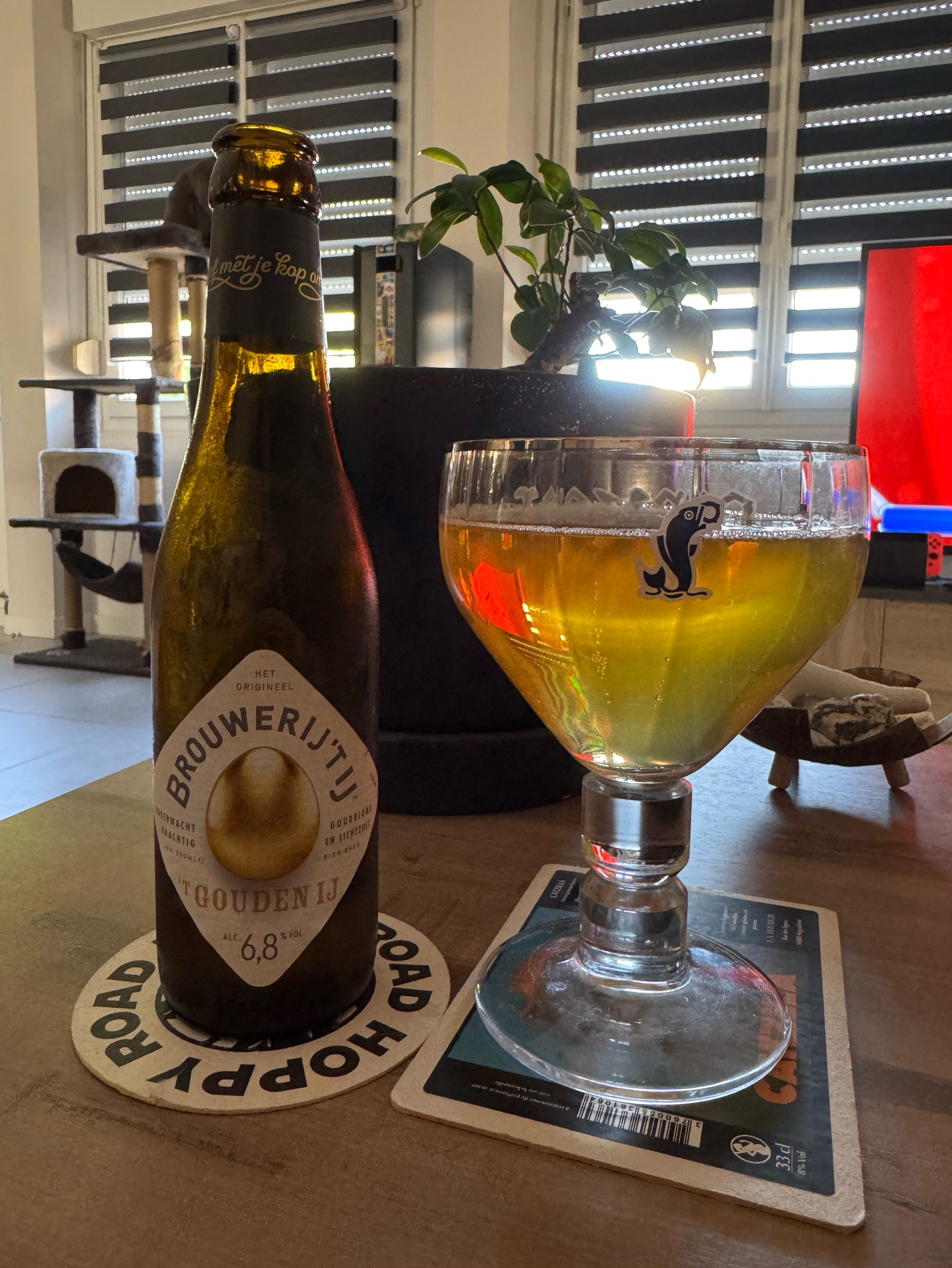 't Gouden IJ, Netherlands