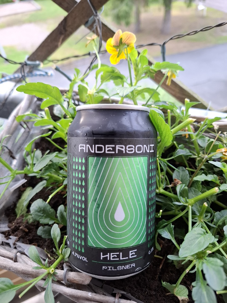 Andersoni Hele, Estonia