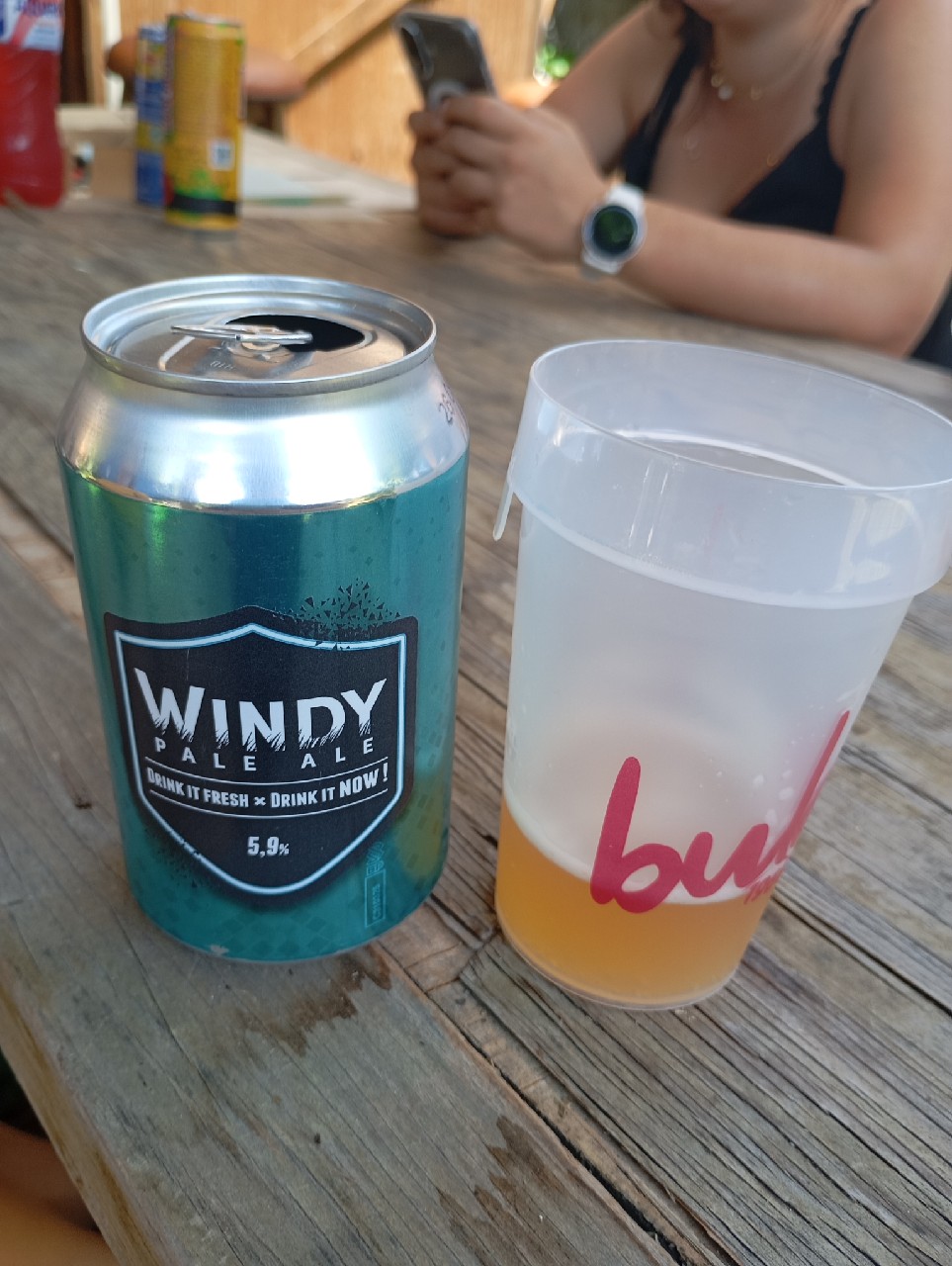 windy pale ale, Brasserie D Arlon