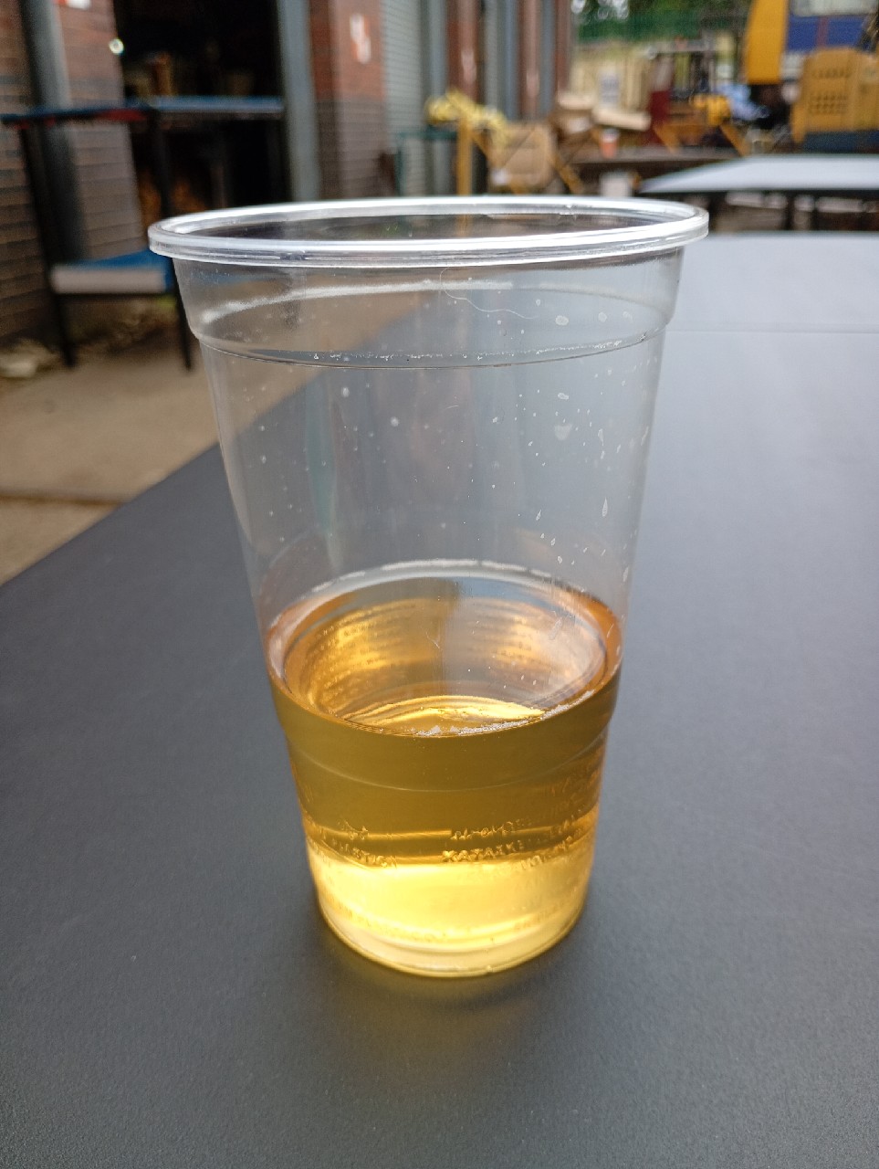 Bees Knees, Revolution Brewery