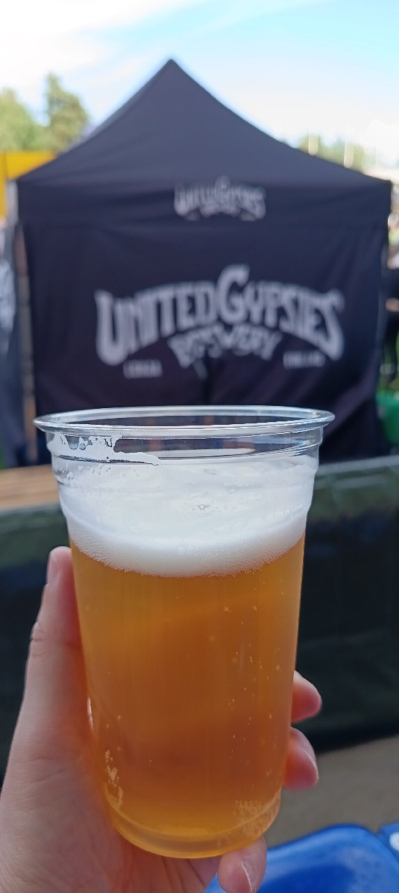 Järvi Pils, Finland