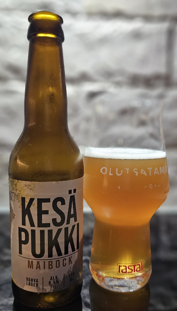 Kesä Pukki, Panimoyhtiö X