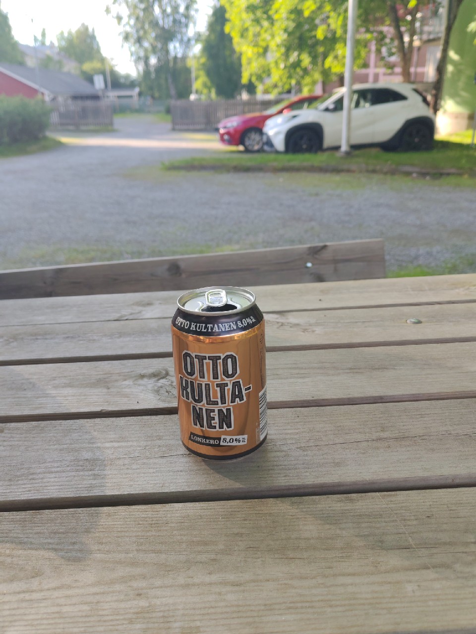 Otto Virtanen, Finland