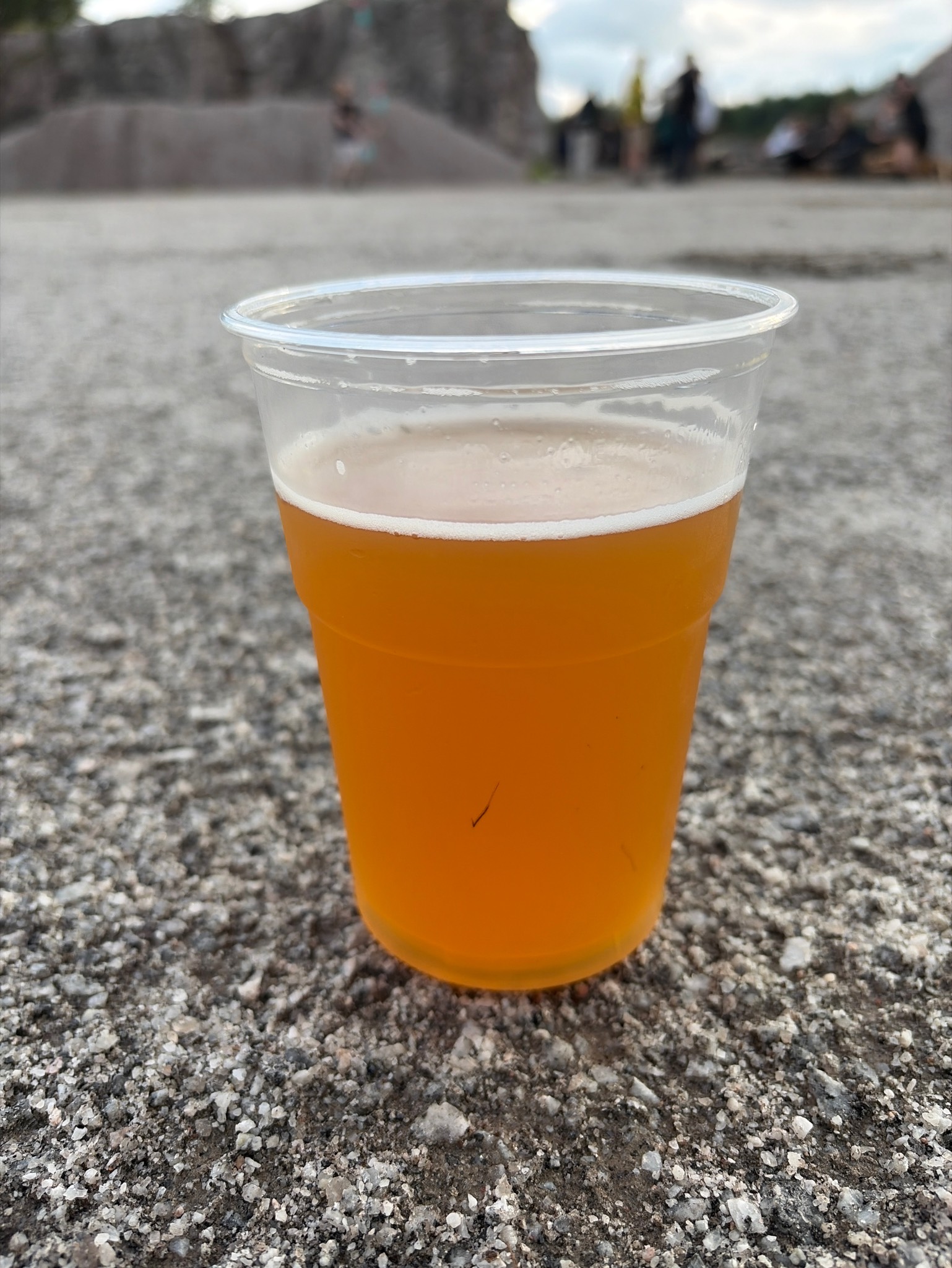 Gluten Free Vienna Lager, Kimito Brewing