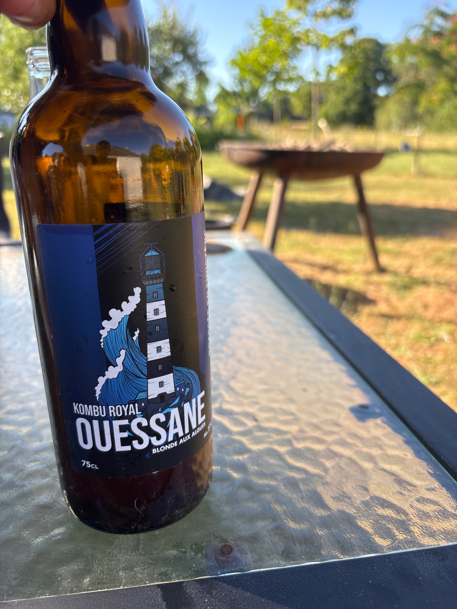Ouessane Bière Aux Algues, France