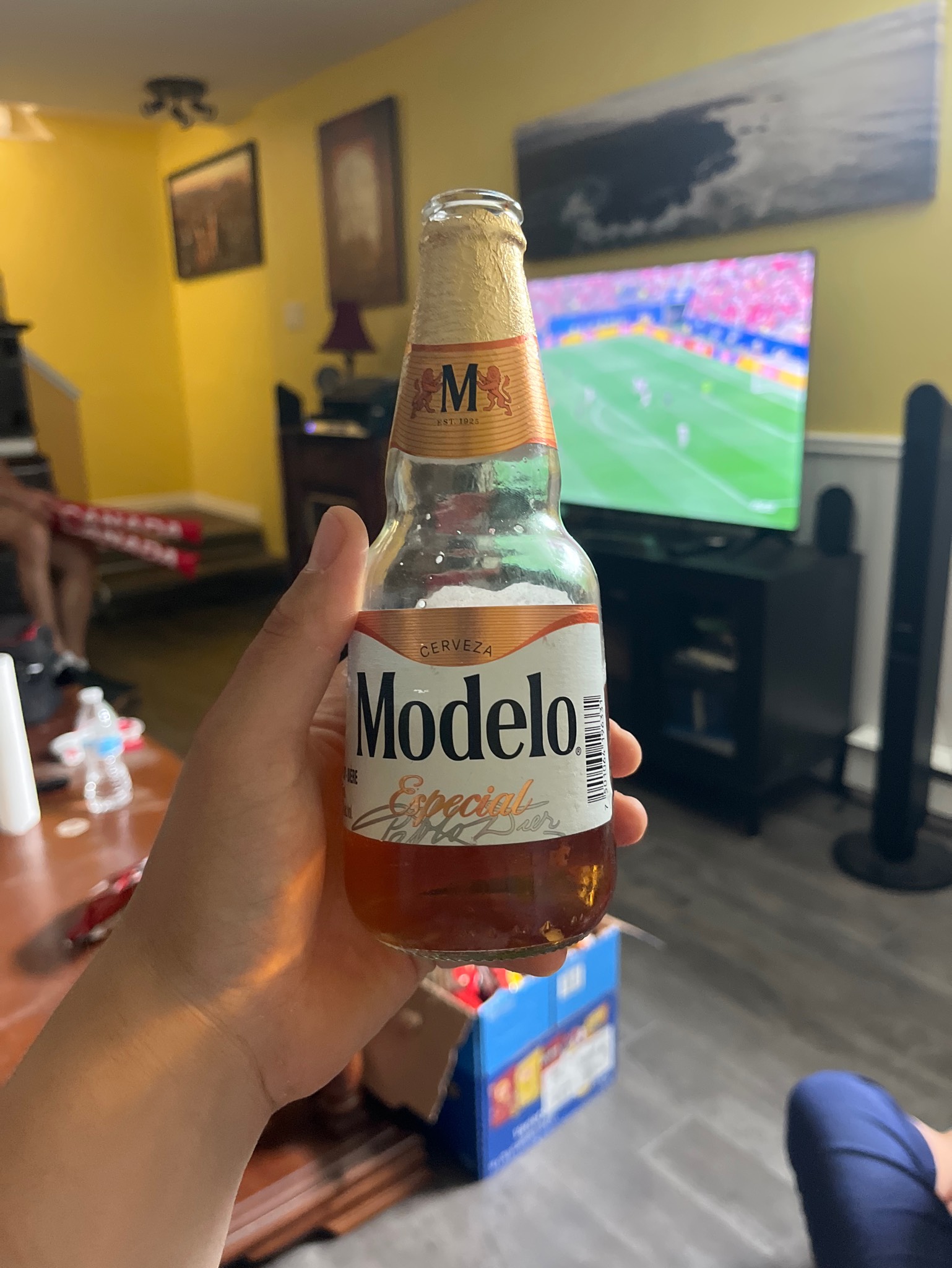 Modelo Ámbar, Mexico