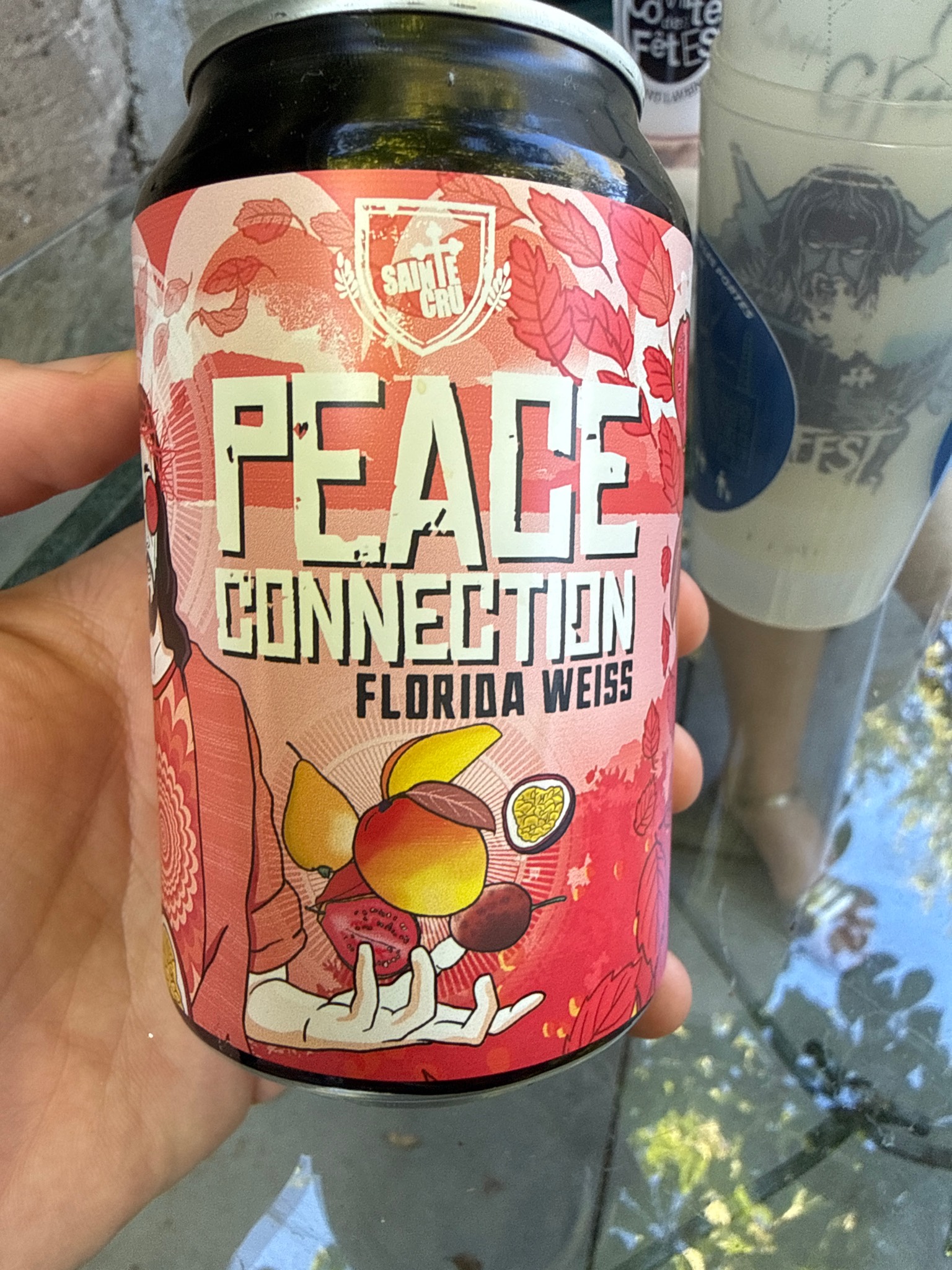 Peace Connection, France