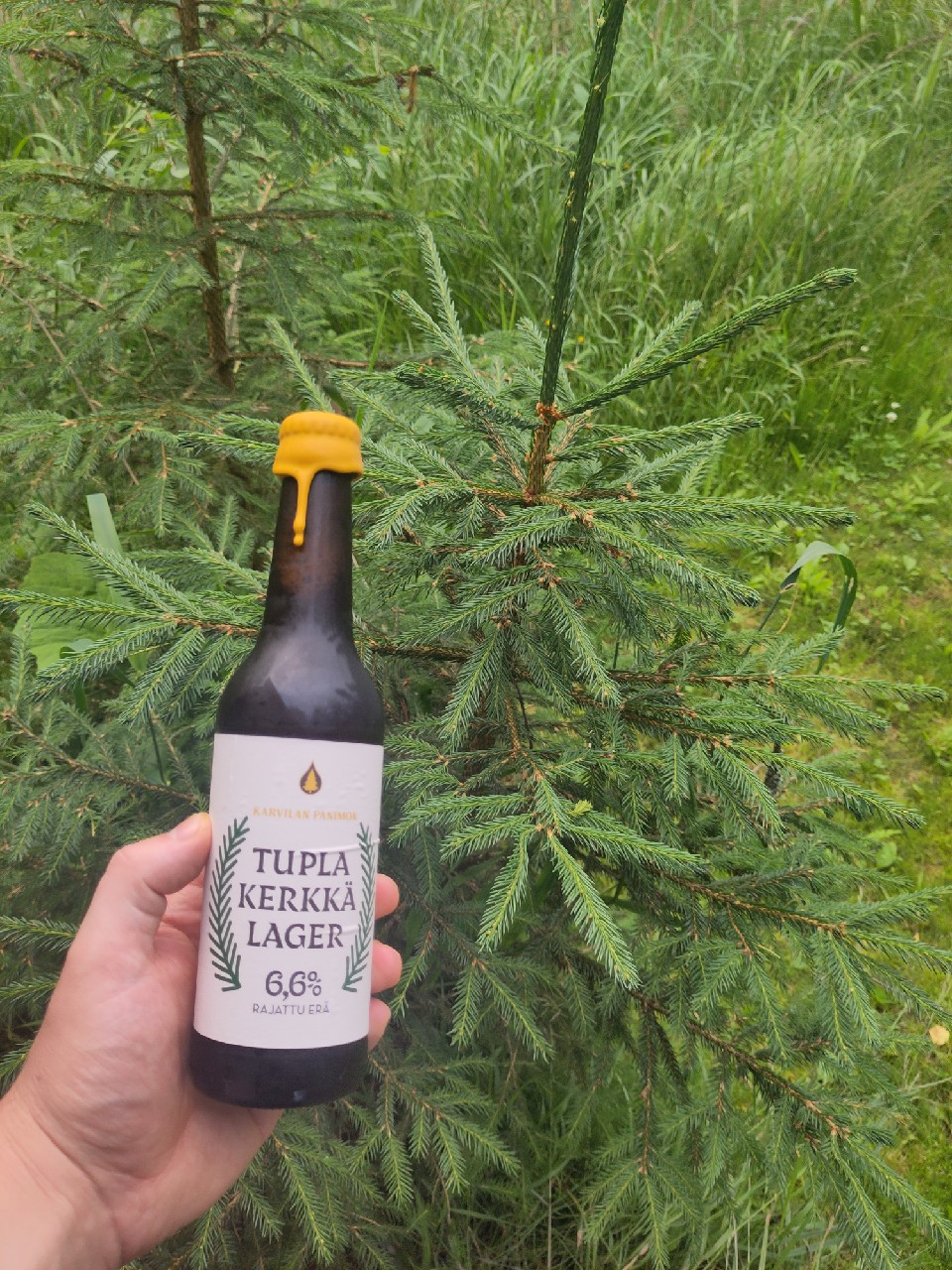 Tupla Kerkkä Lager, Finland