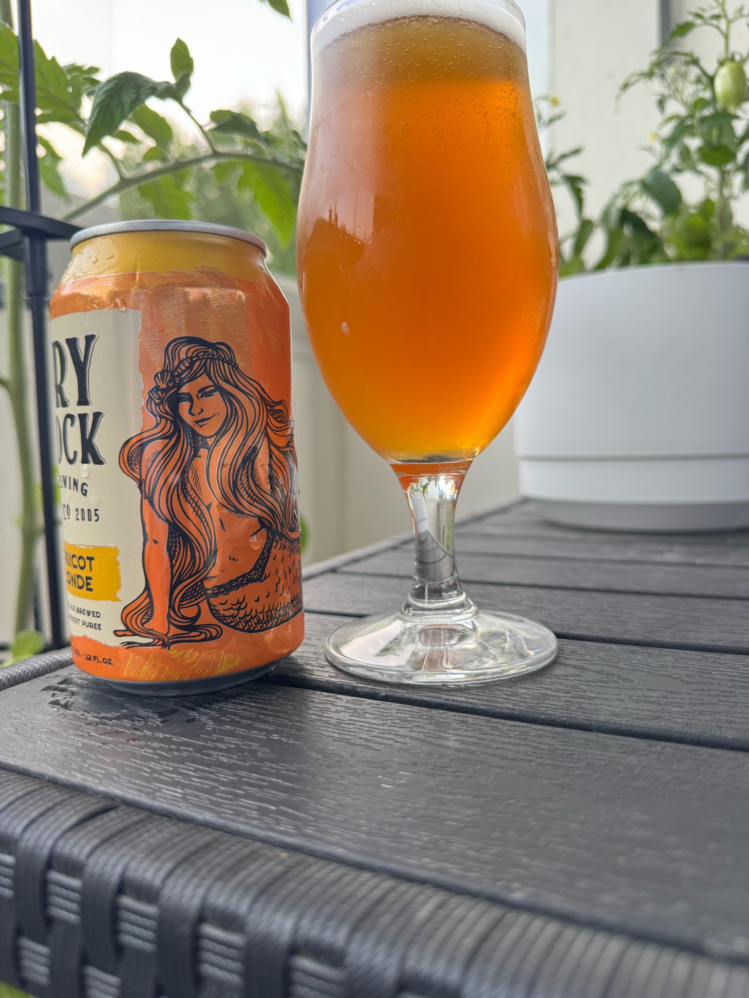 Apricot Blonde, Dry Dock Brewing Company