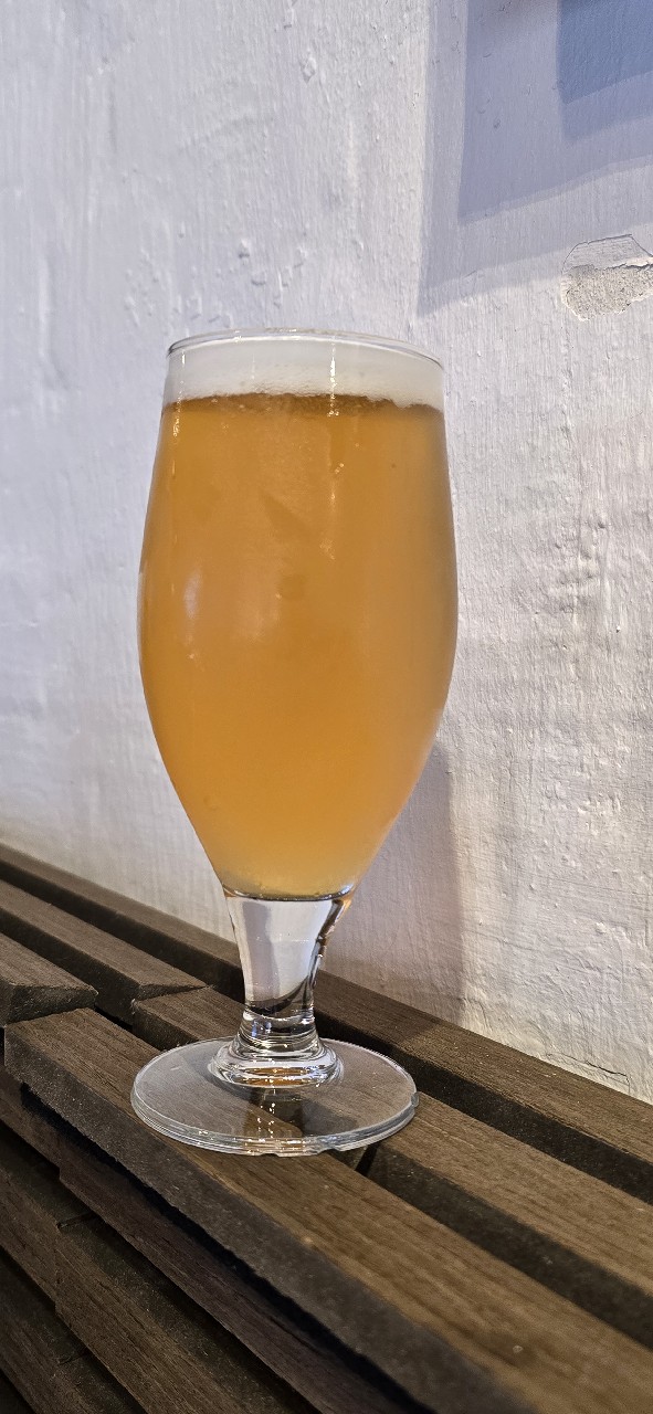 Grønjægers Pilsner, Bryghuset Møn