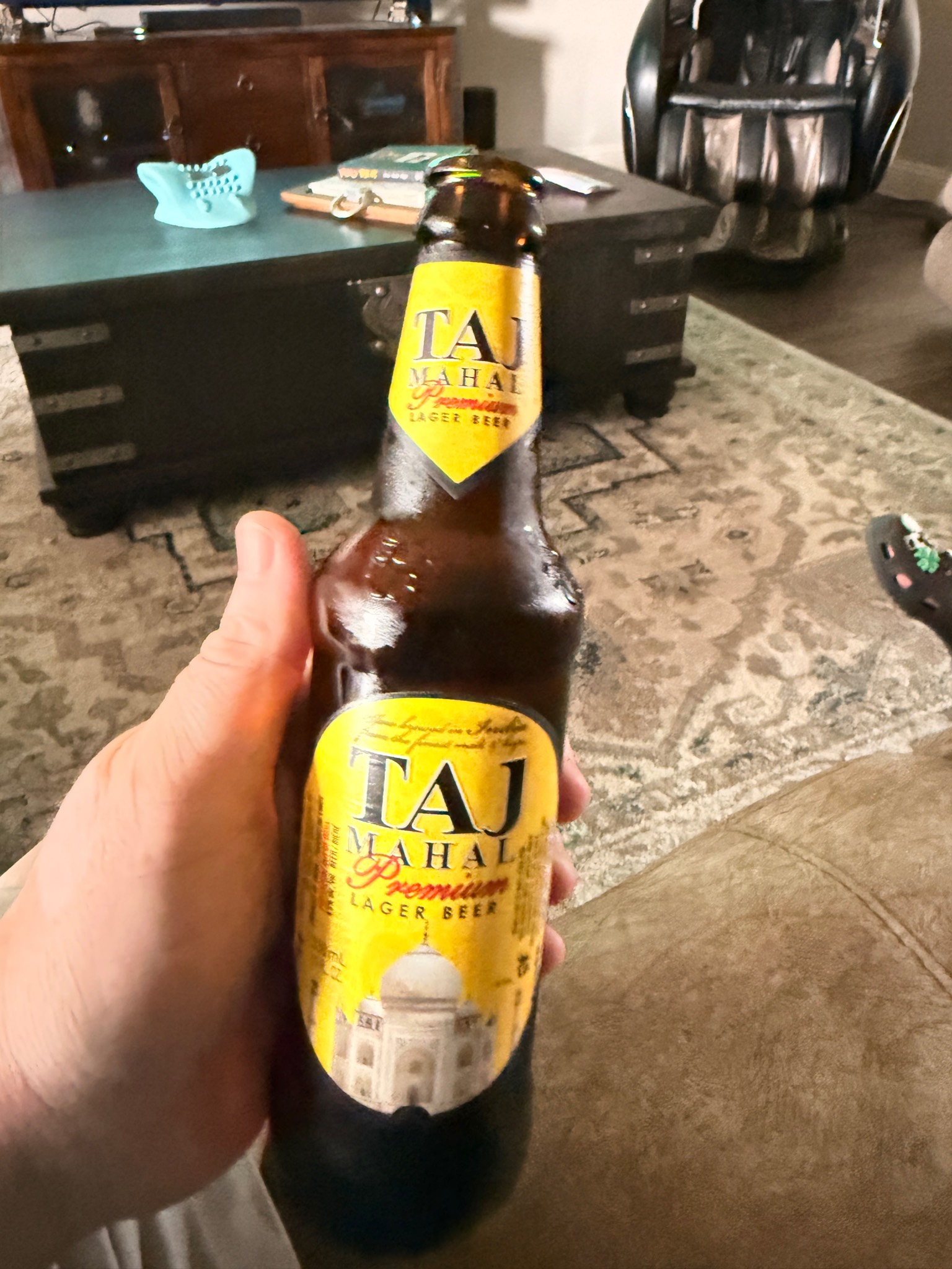 Taj Mahal Premium Lager, India