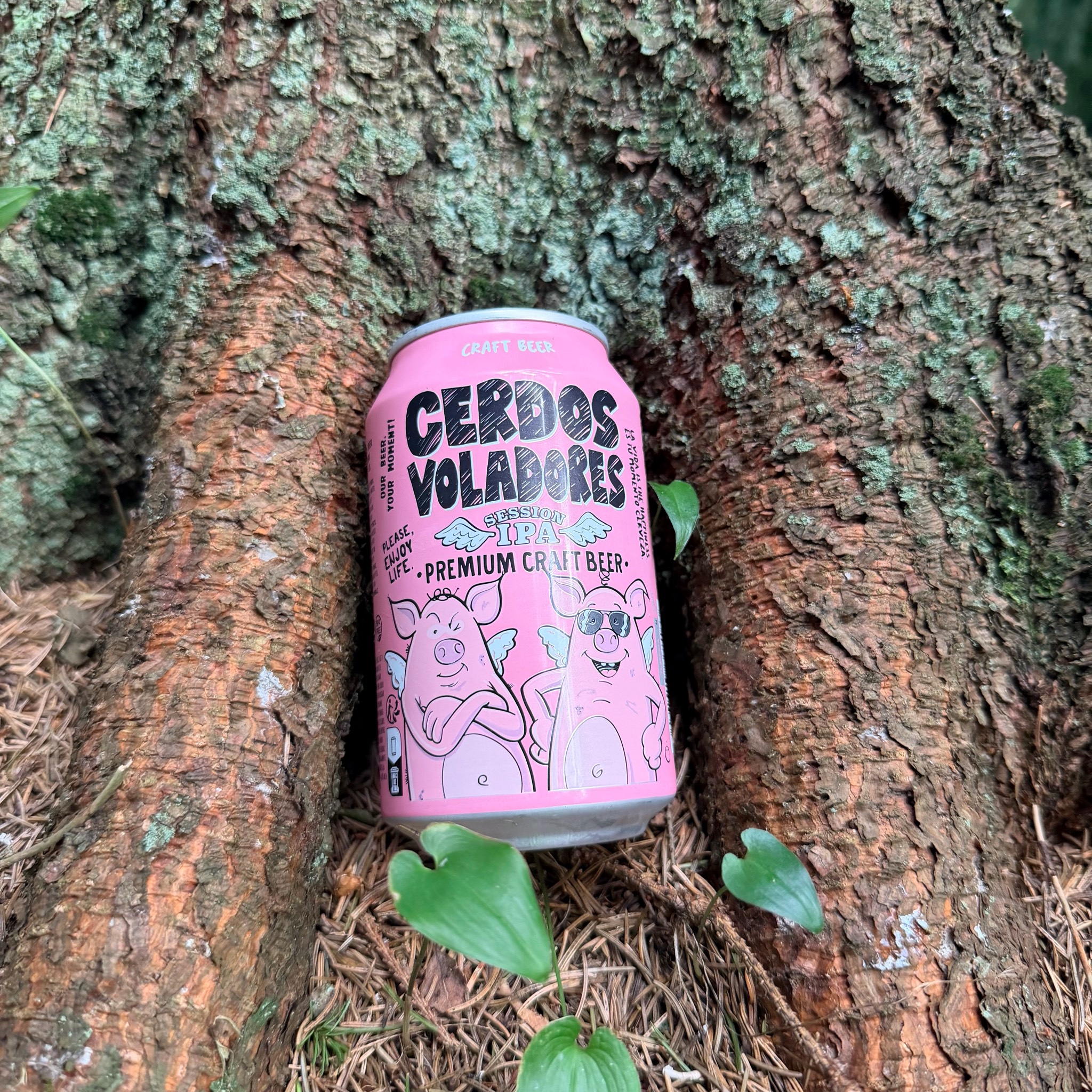 Cerdos Voladores Session IPA, Spain