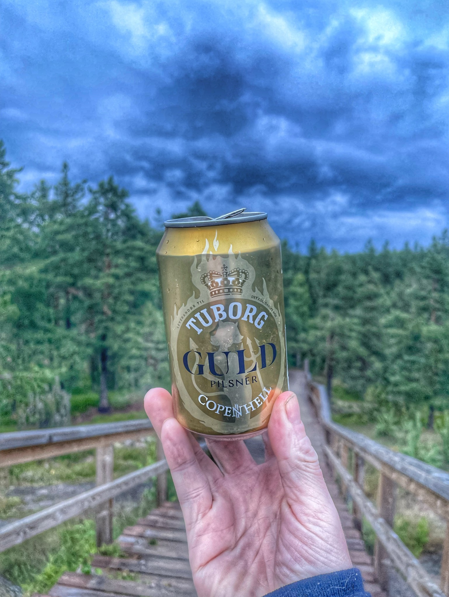 Tuborg Gold, Denmark