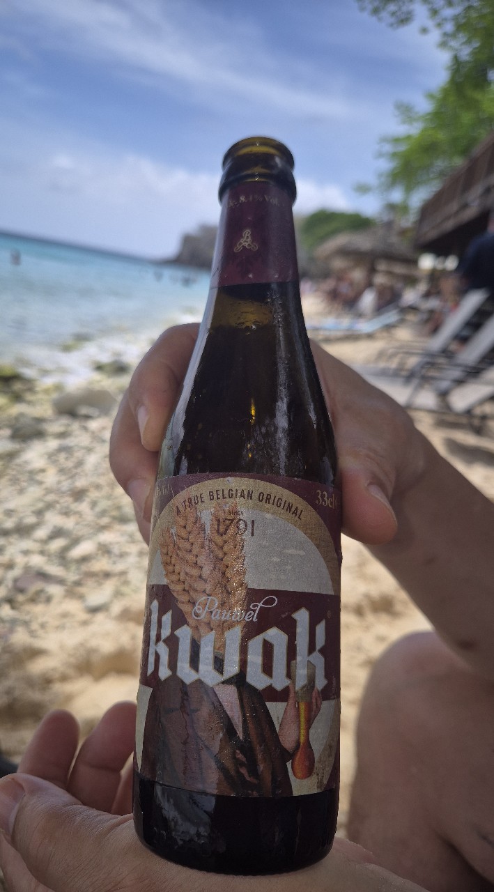 Pauwel Kwak, Belgium