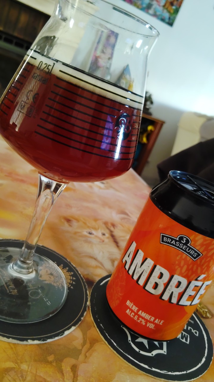3 Brasseurs Ambrée / Amber, France