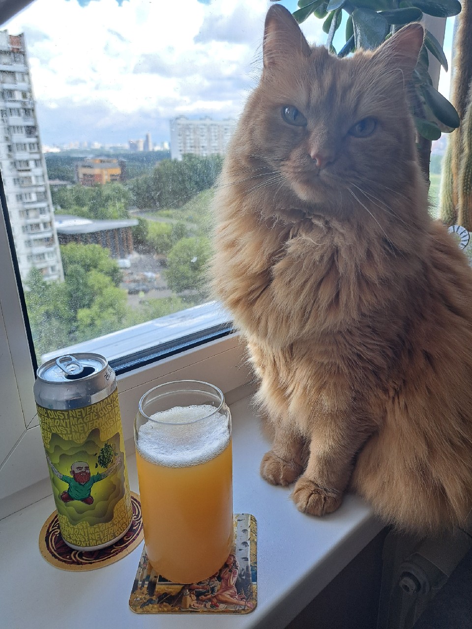 Nevermont Double Magic, Stamm Brewing