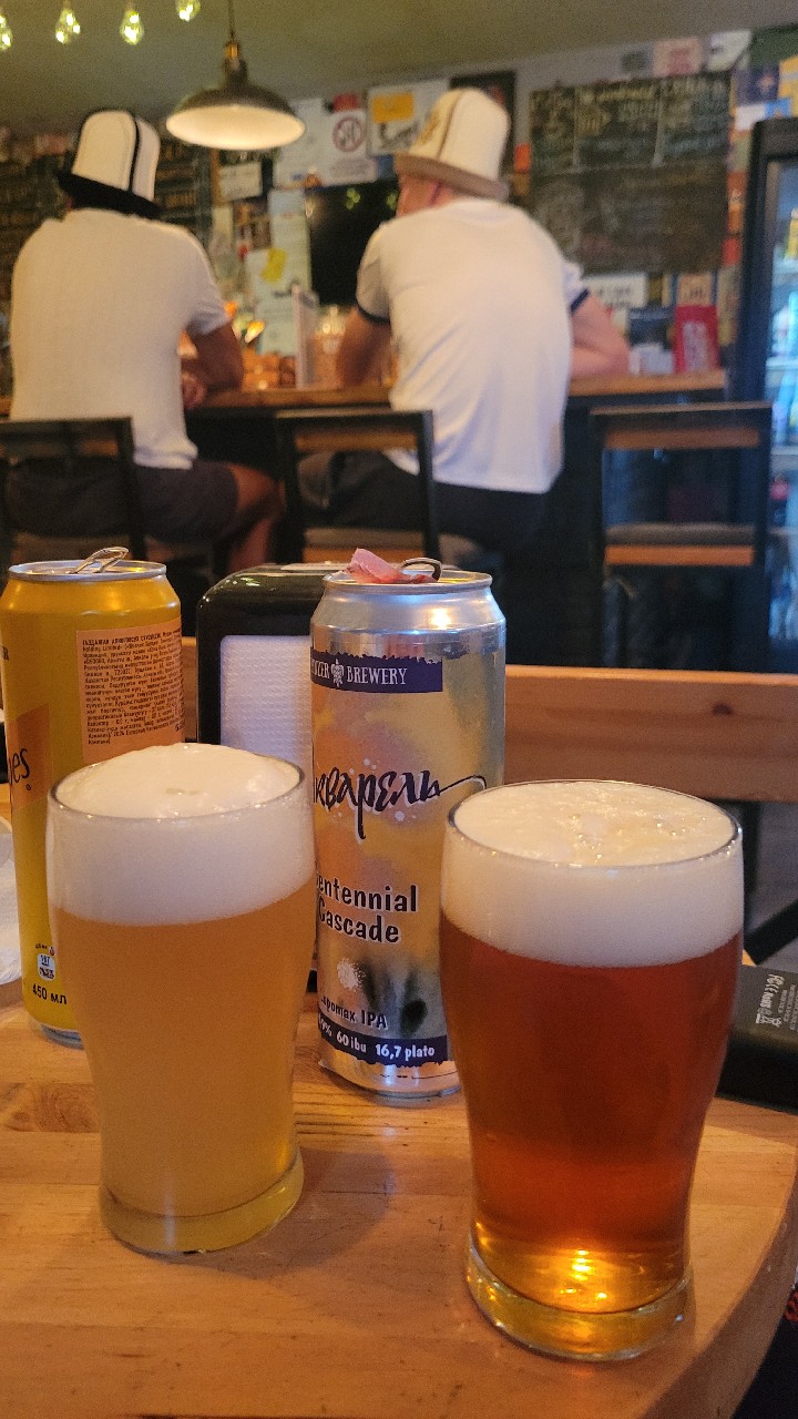Hot dog party, Raccoon brewing co