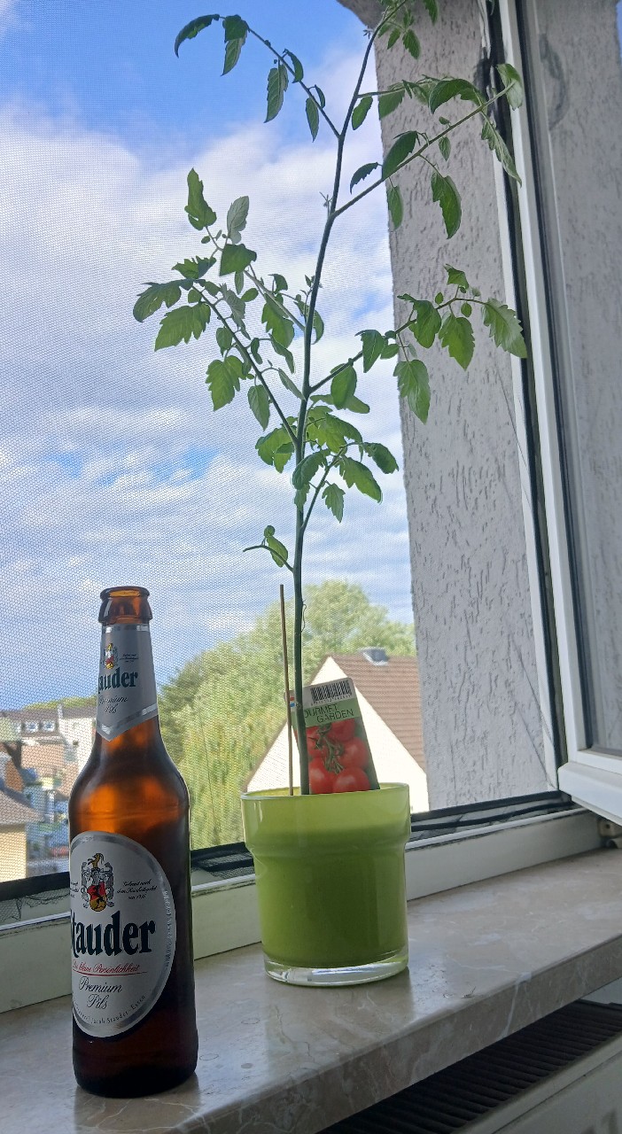 Stauder Premium Pils, Privatbrauerei Jacob Stauder