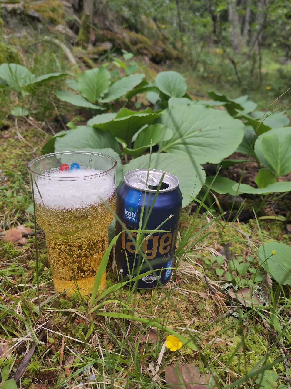 Kotimaista Täysmallas Lager 4.5%, Finland