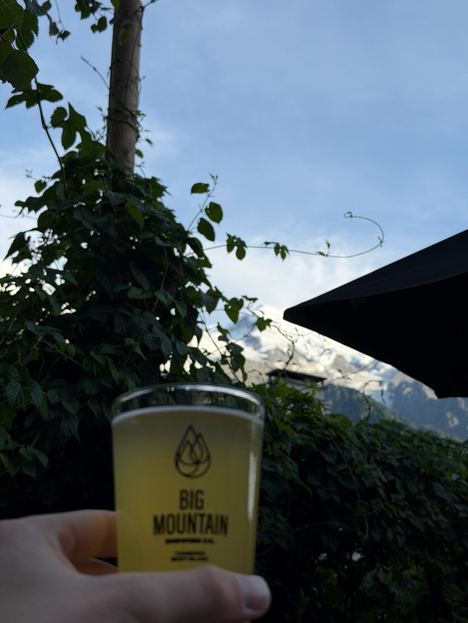 Pt'it Bidule, Big Mountain Brewing Co. (Basecamp)