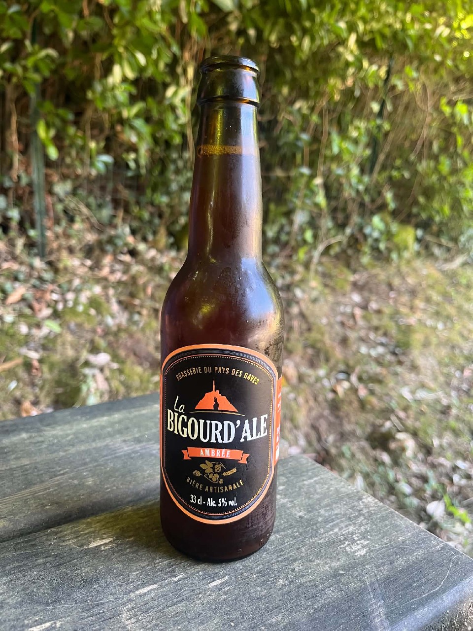 La Bigourd'Ale Ambrée, France