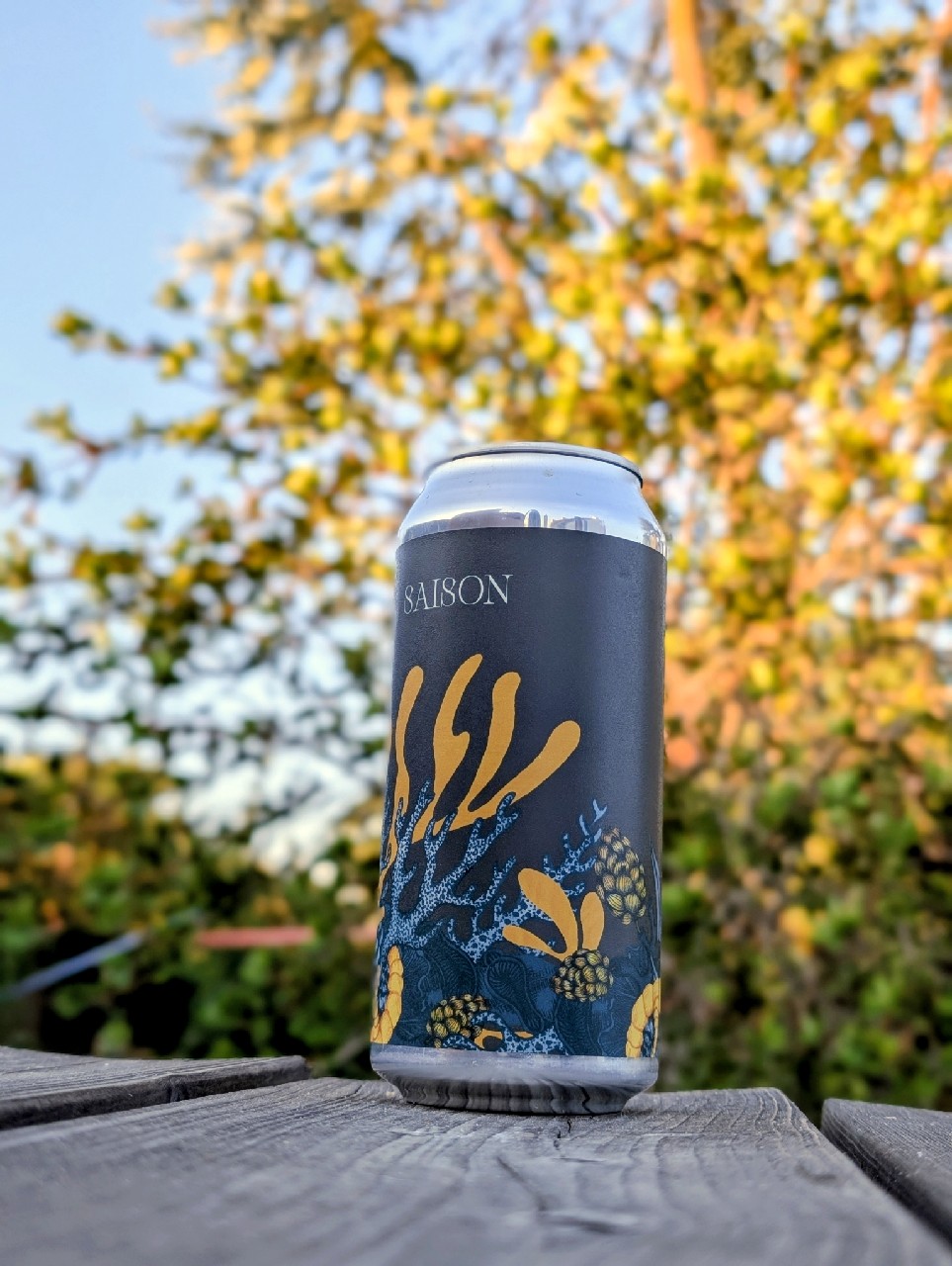 Kauri Saison, France
