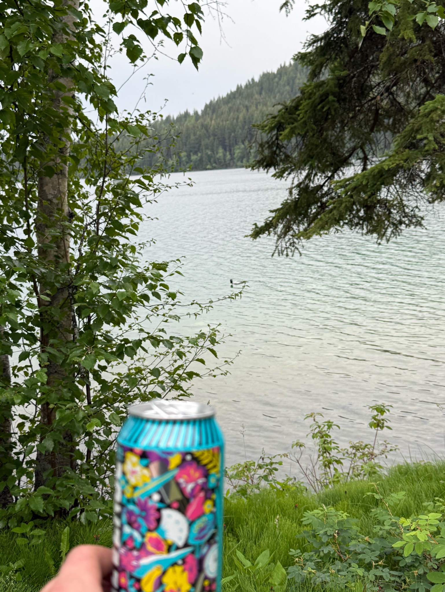 Revenge Cold IPA, Phillips Brewing & Malting Co.