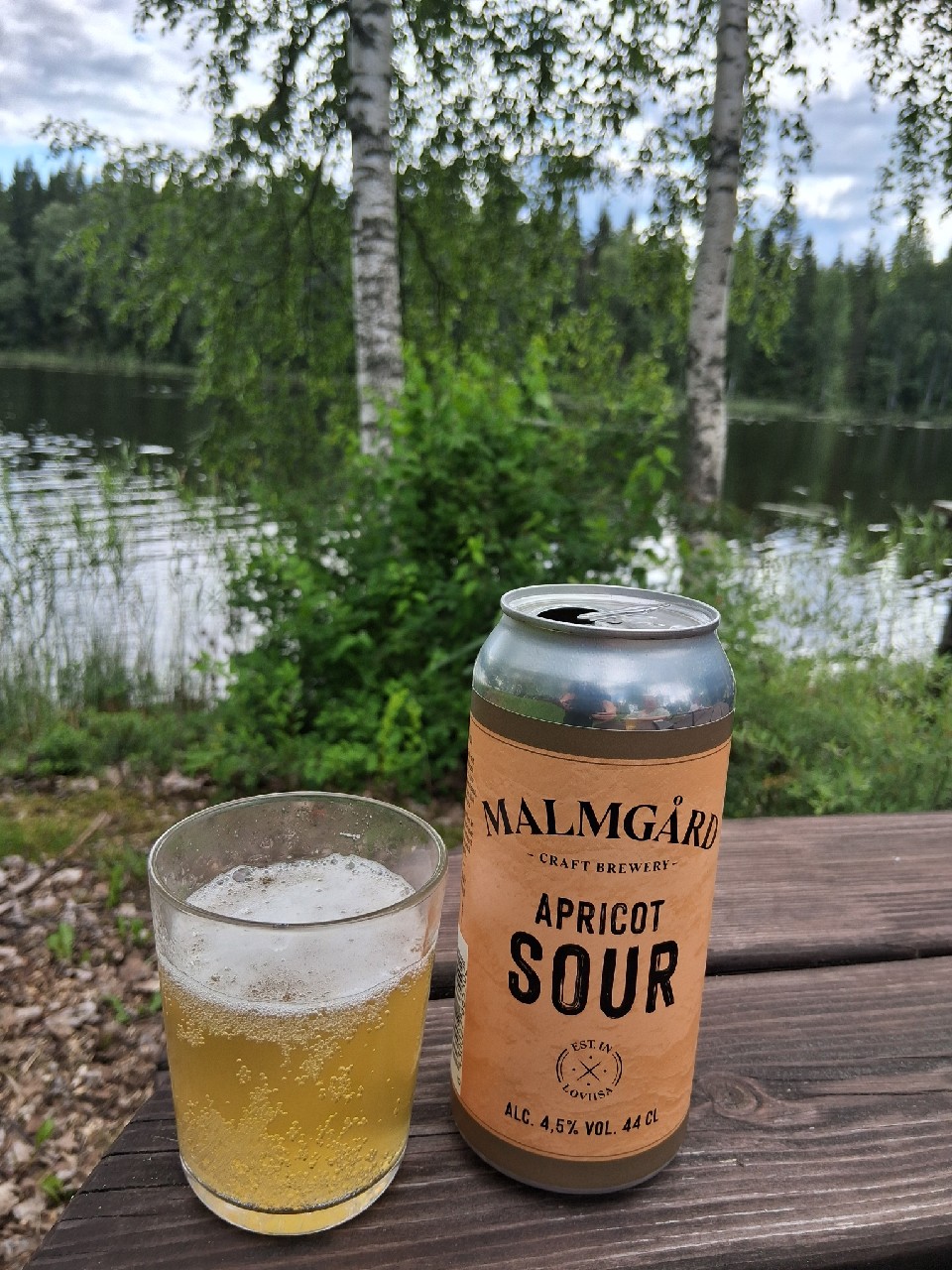 malmgård apricot sour, Finland