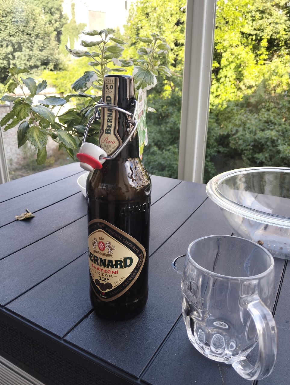 Celebration Lager / Sváteční Ležák 12°, Czech Republic