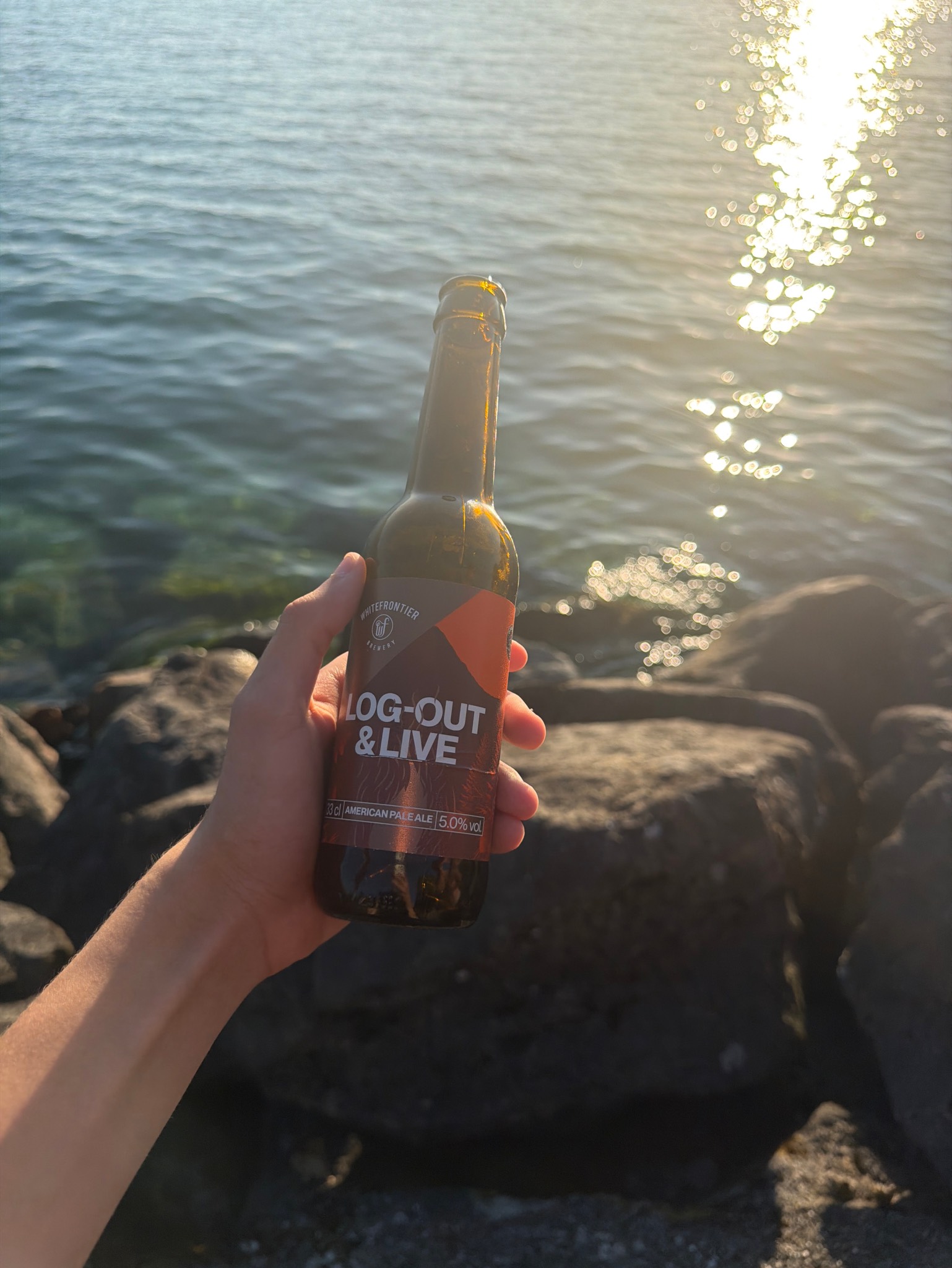 Log-Out & Live, White Frontier Brewery