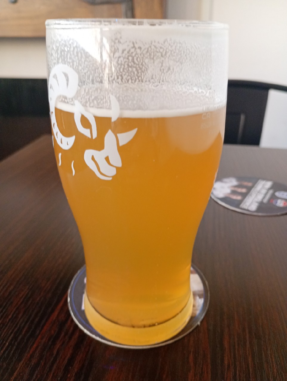 Wild Side, Green Duck Beer Co.