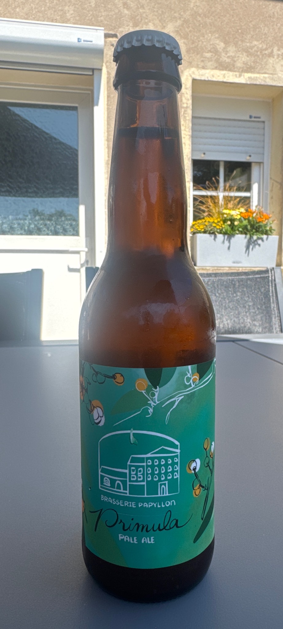 Primula, Brasserie Papyllon