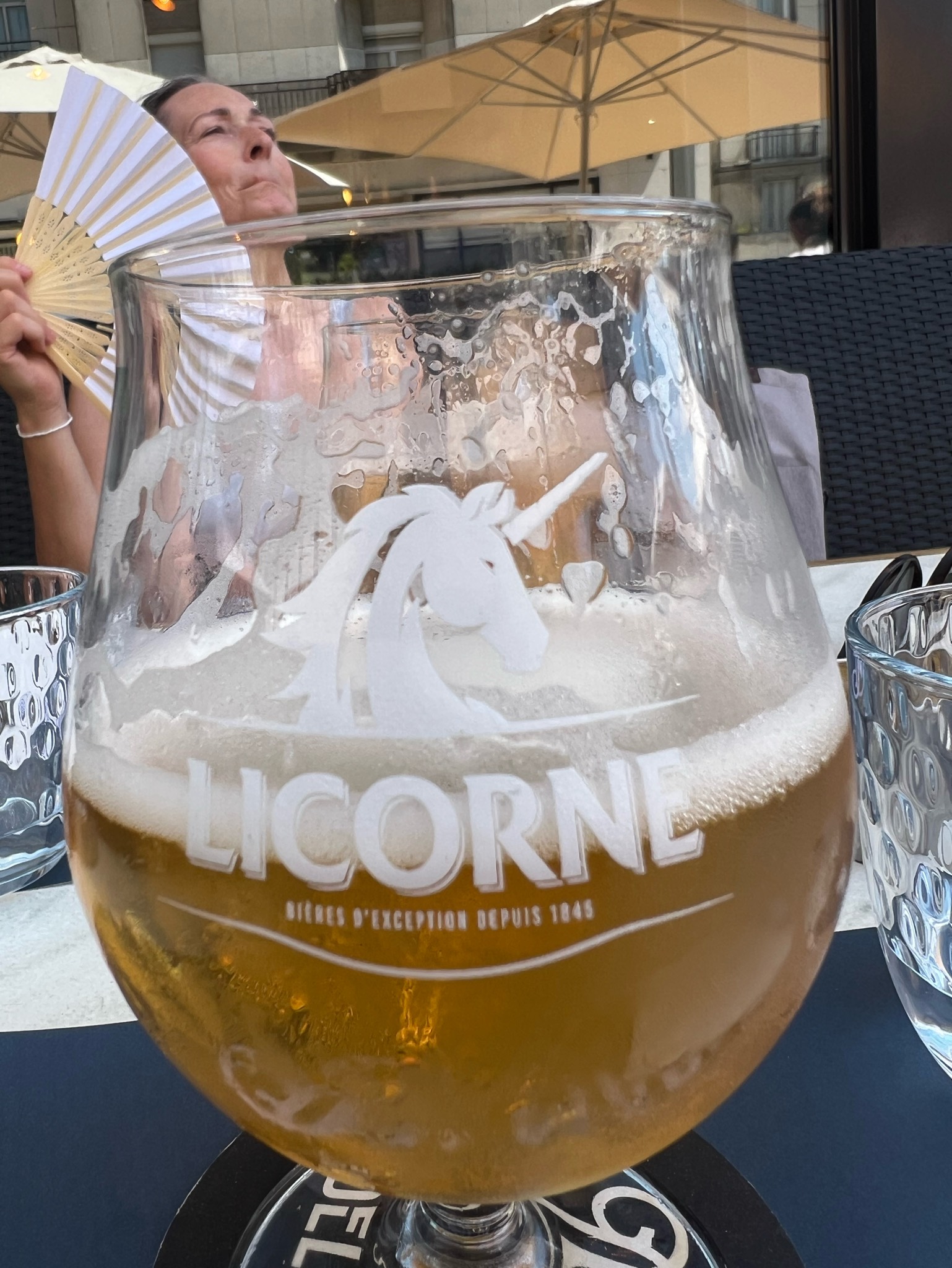 Licorne Blonde, France