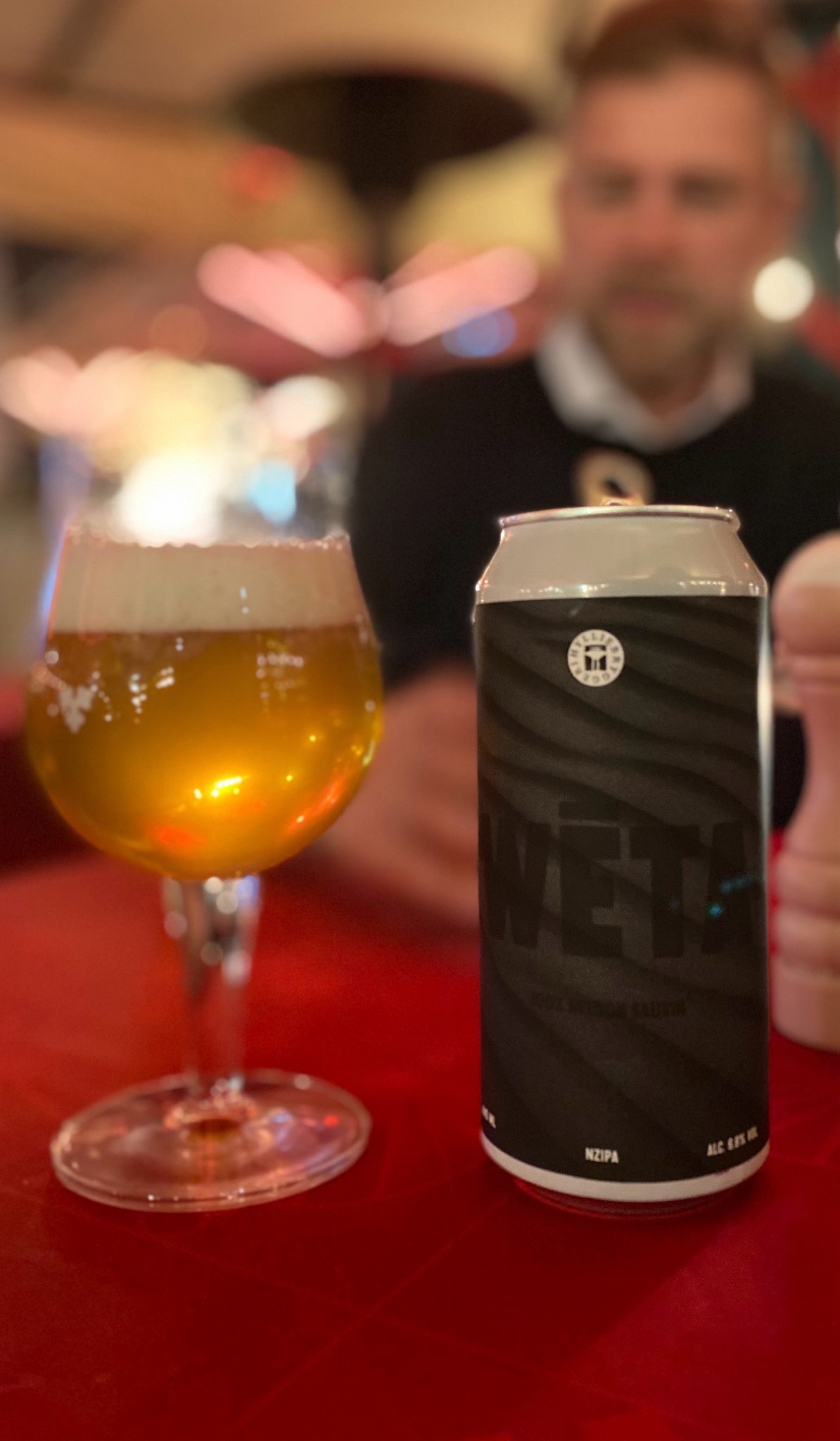 Hyllie x Dry & Bitter - Weta IPA, Sweden