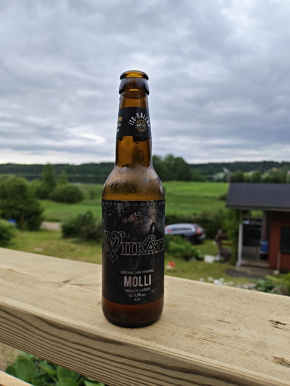 Molli, Finland