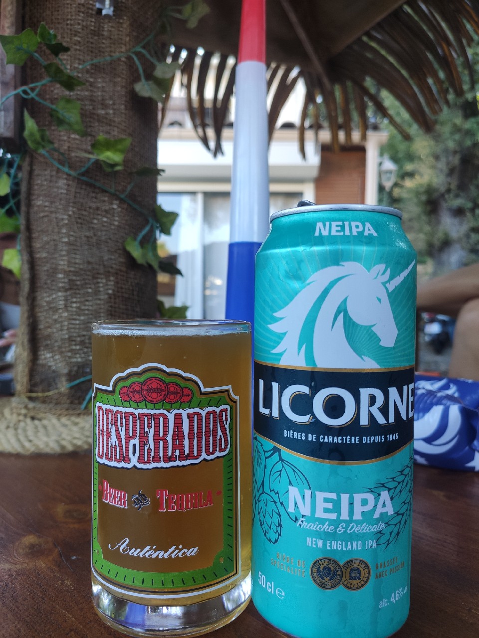 NEIPA, France
