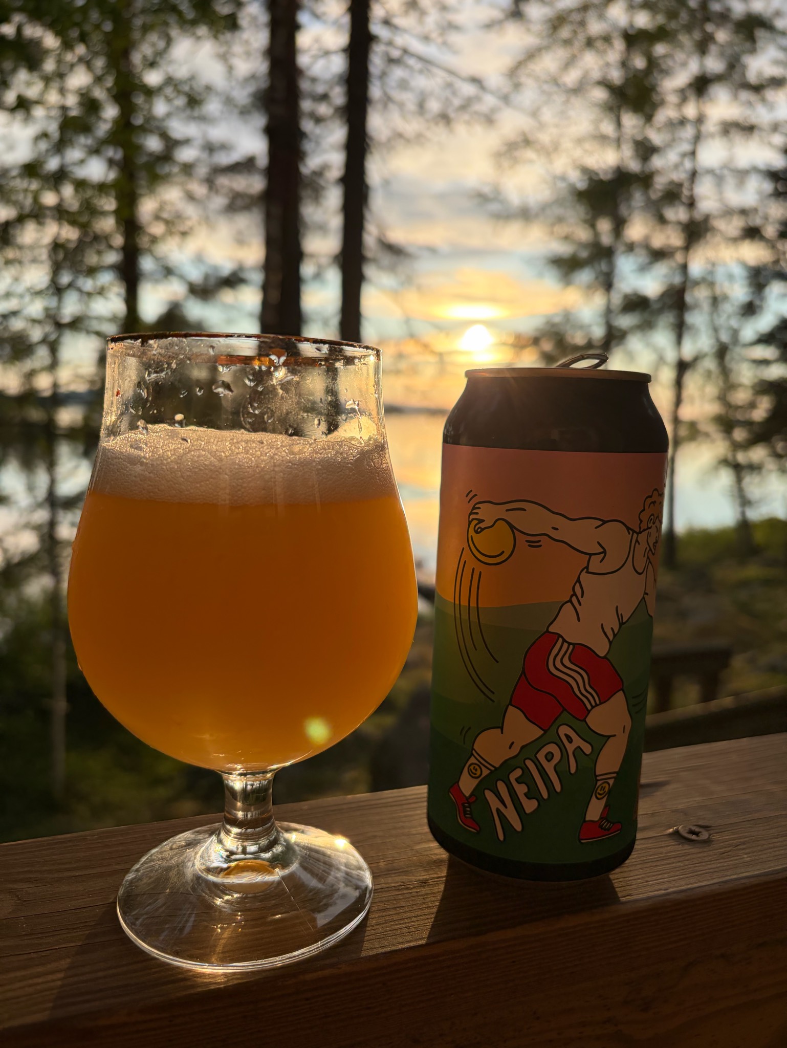 Diskaus, Finland